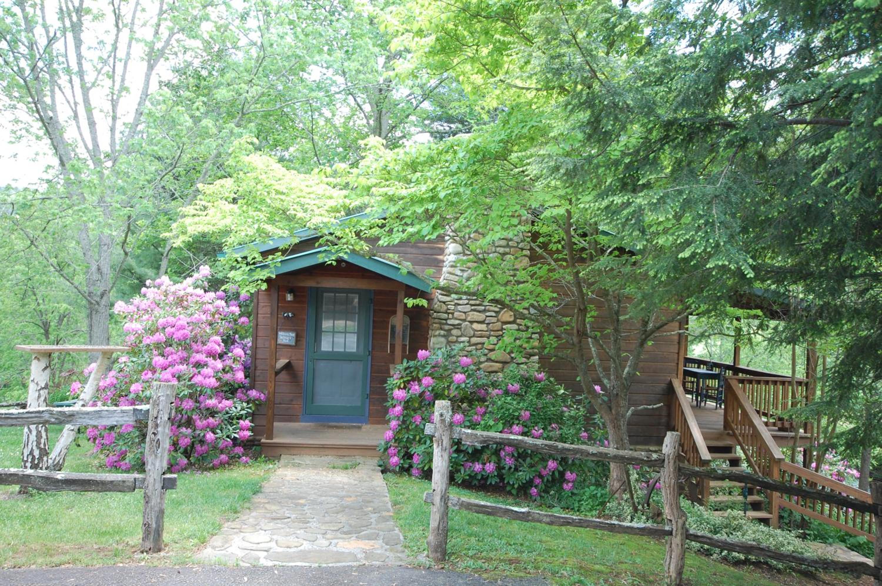 Mountain Springs Cabins