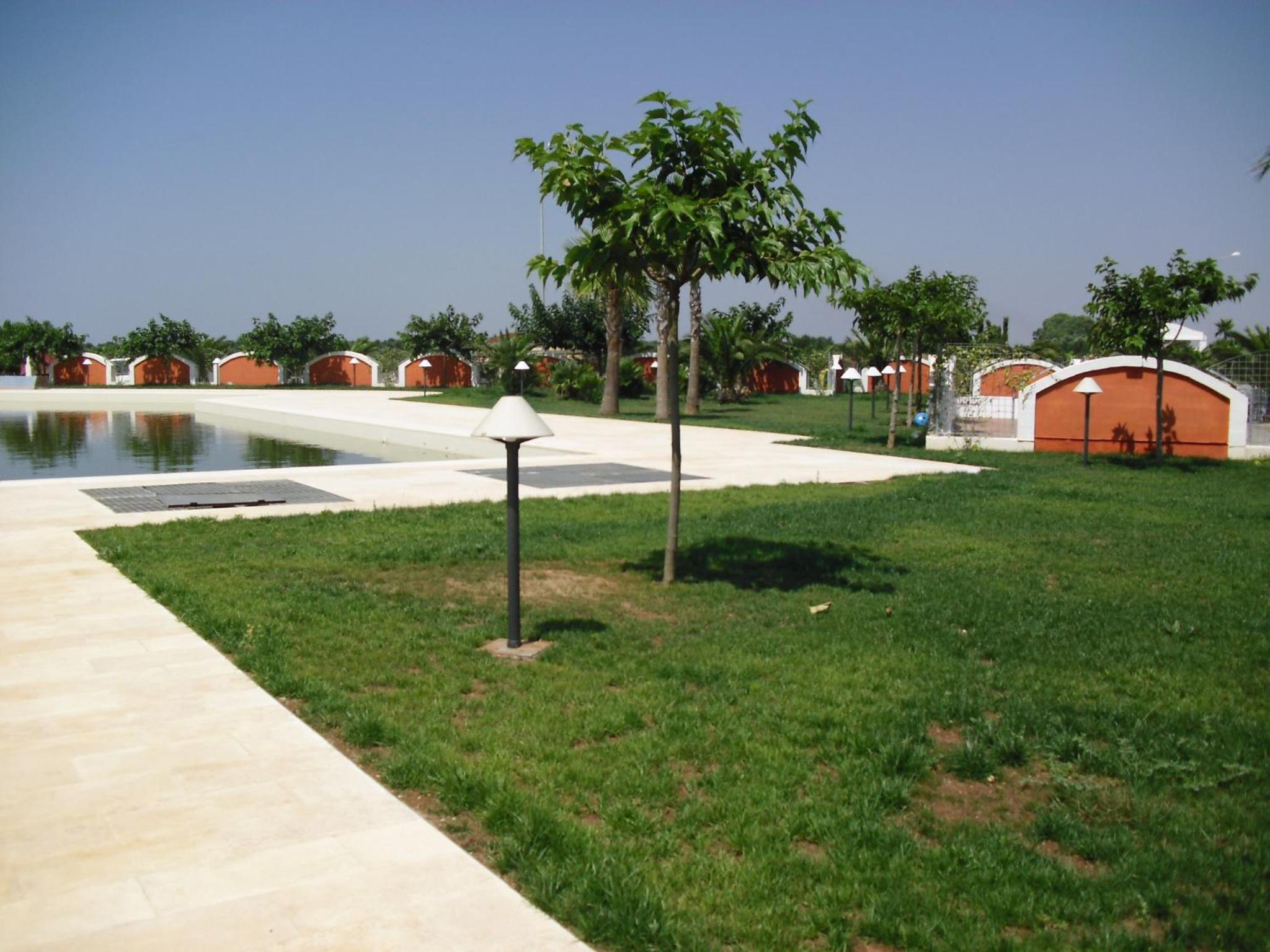 Photo 44