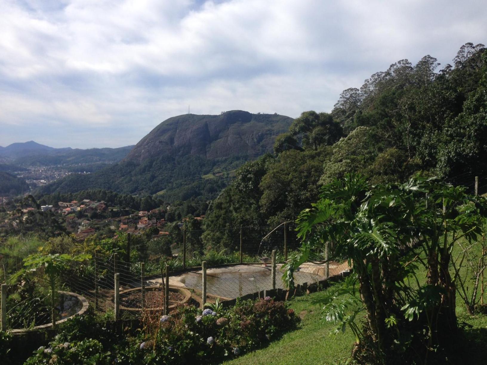 Canto dos Pássaros