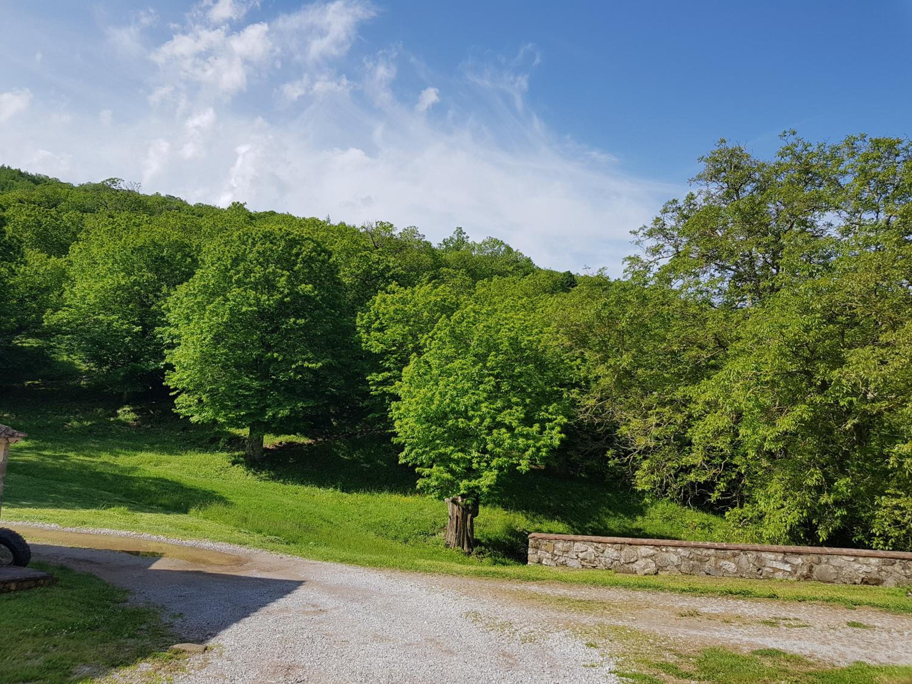 Agriturismo Bio I Rondinelli