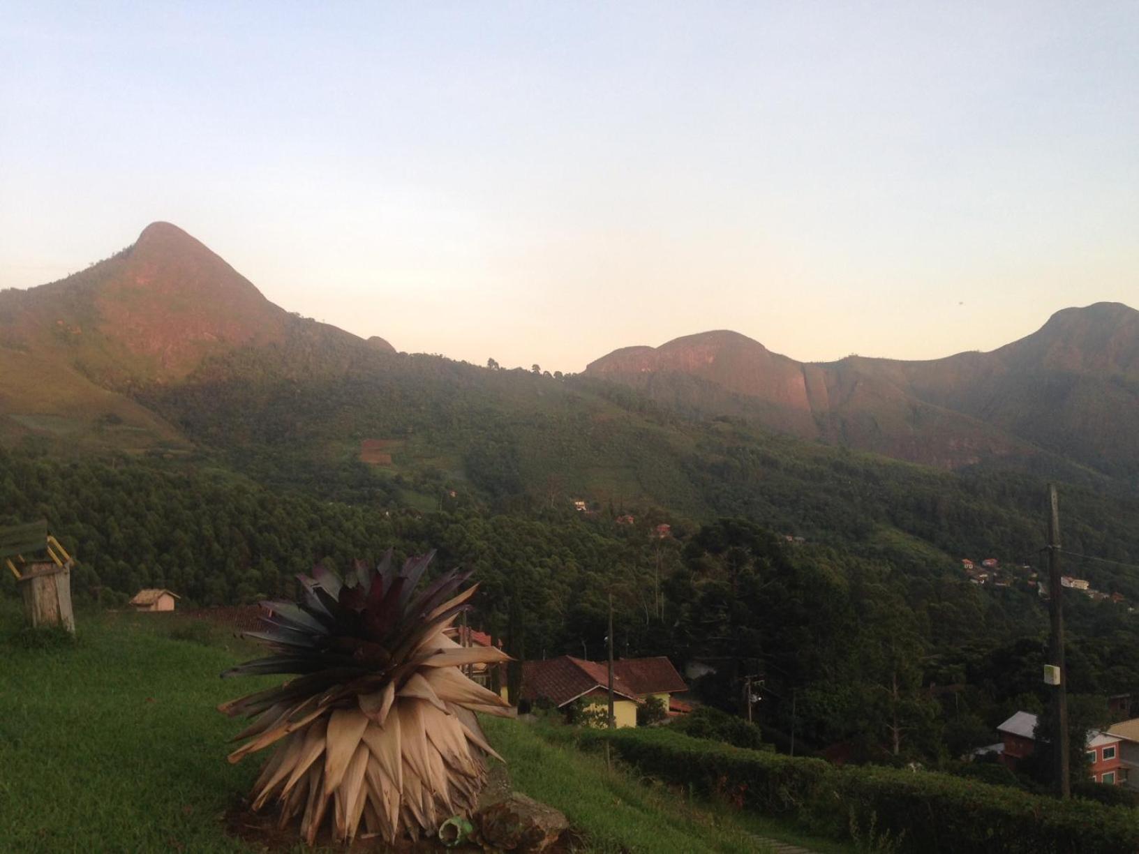 Canto dos Pássaros