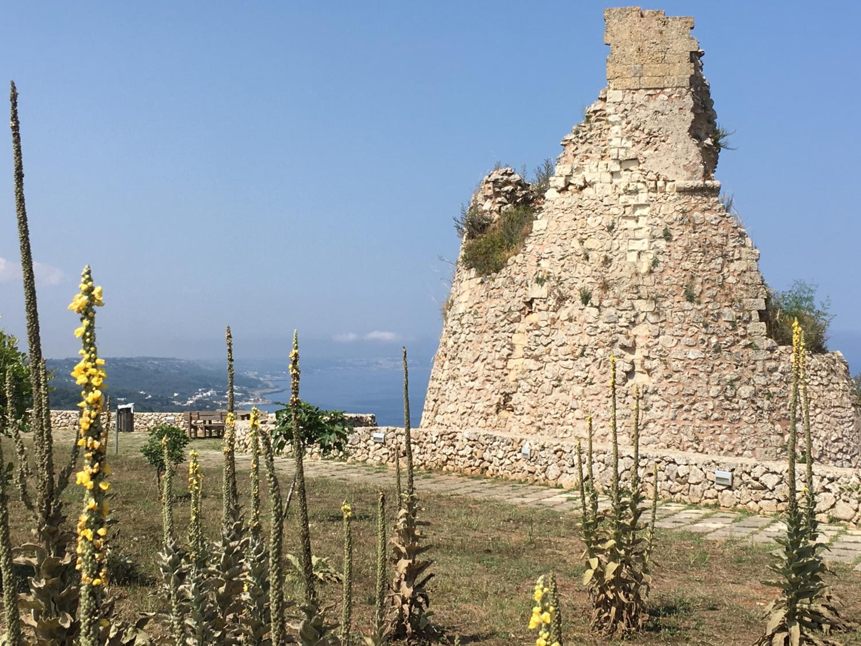 Agriturismo Le Fornelle
