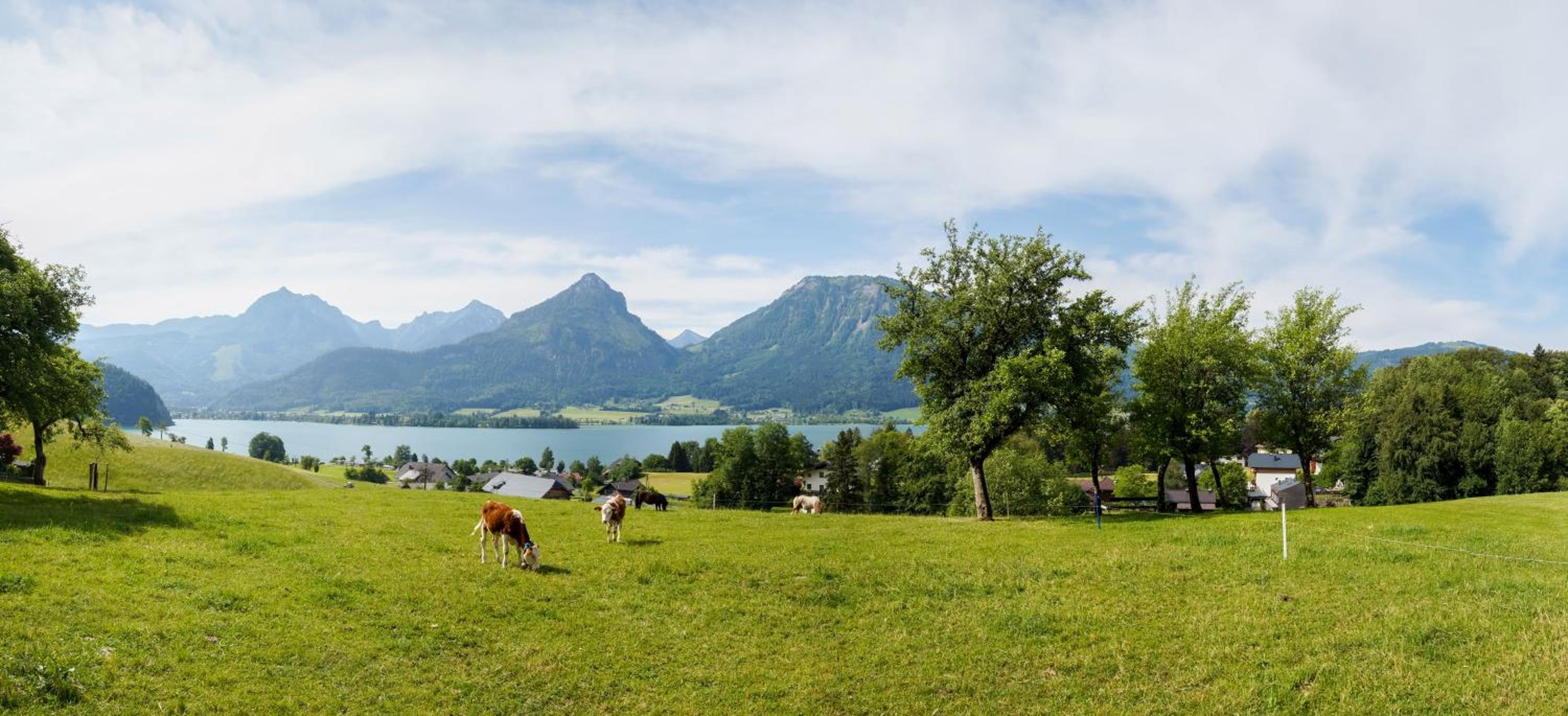 Hauslhof
