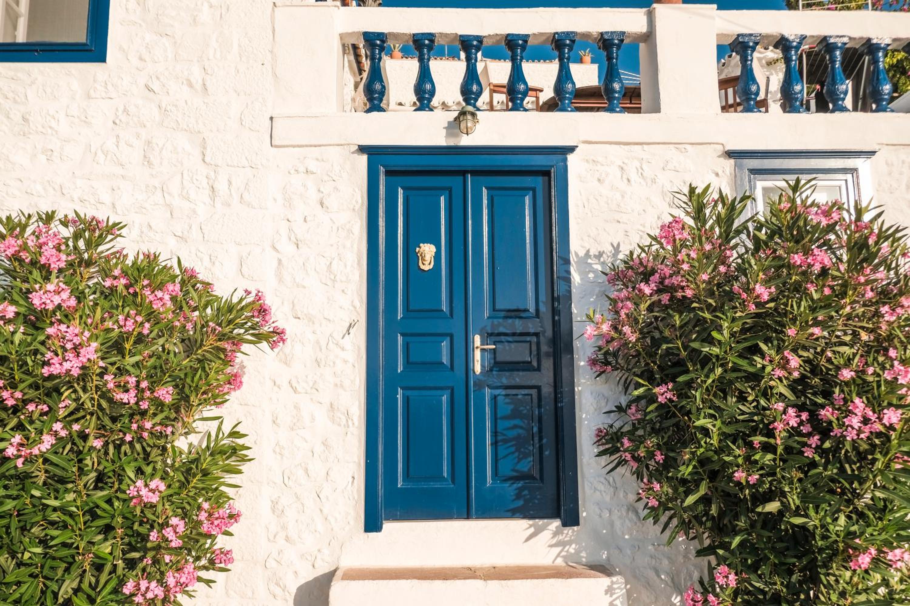 Lotus Sweet Home Hydra