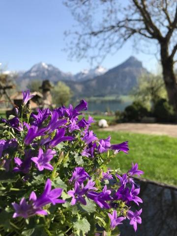 Hauslhof