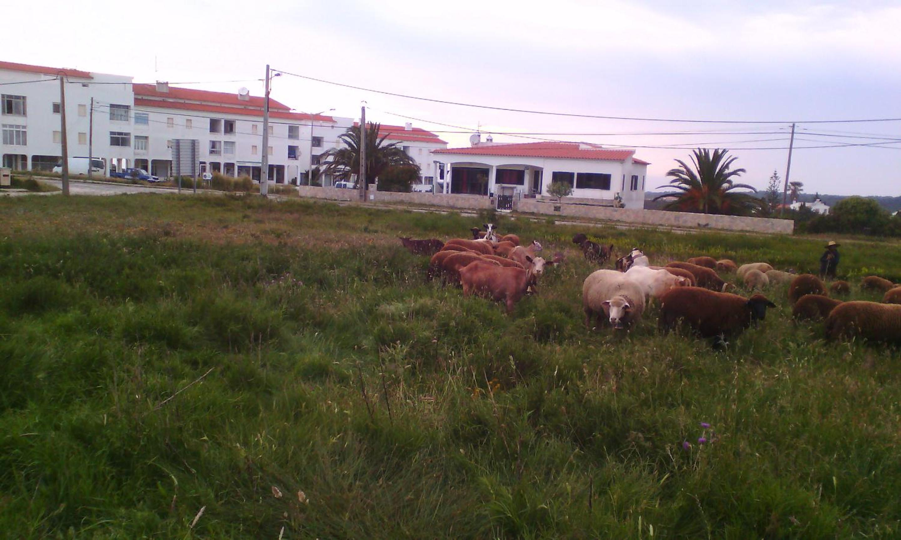 Villa Bartoni view 4