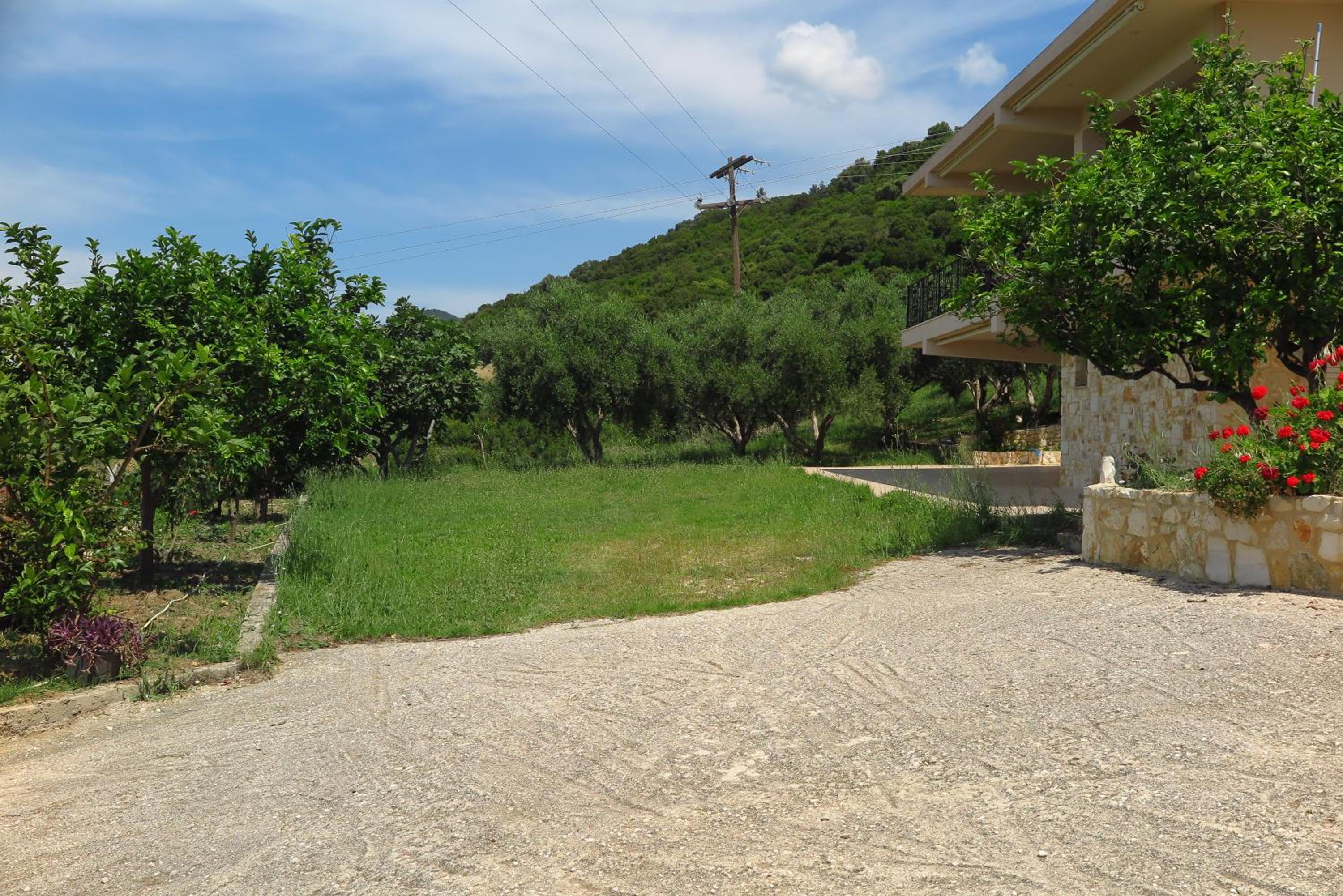 Photo 47