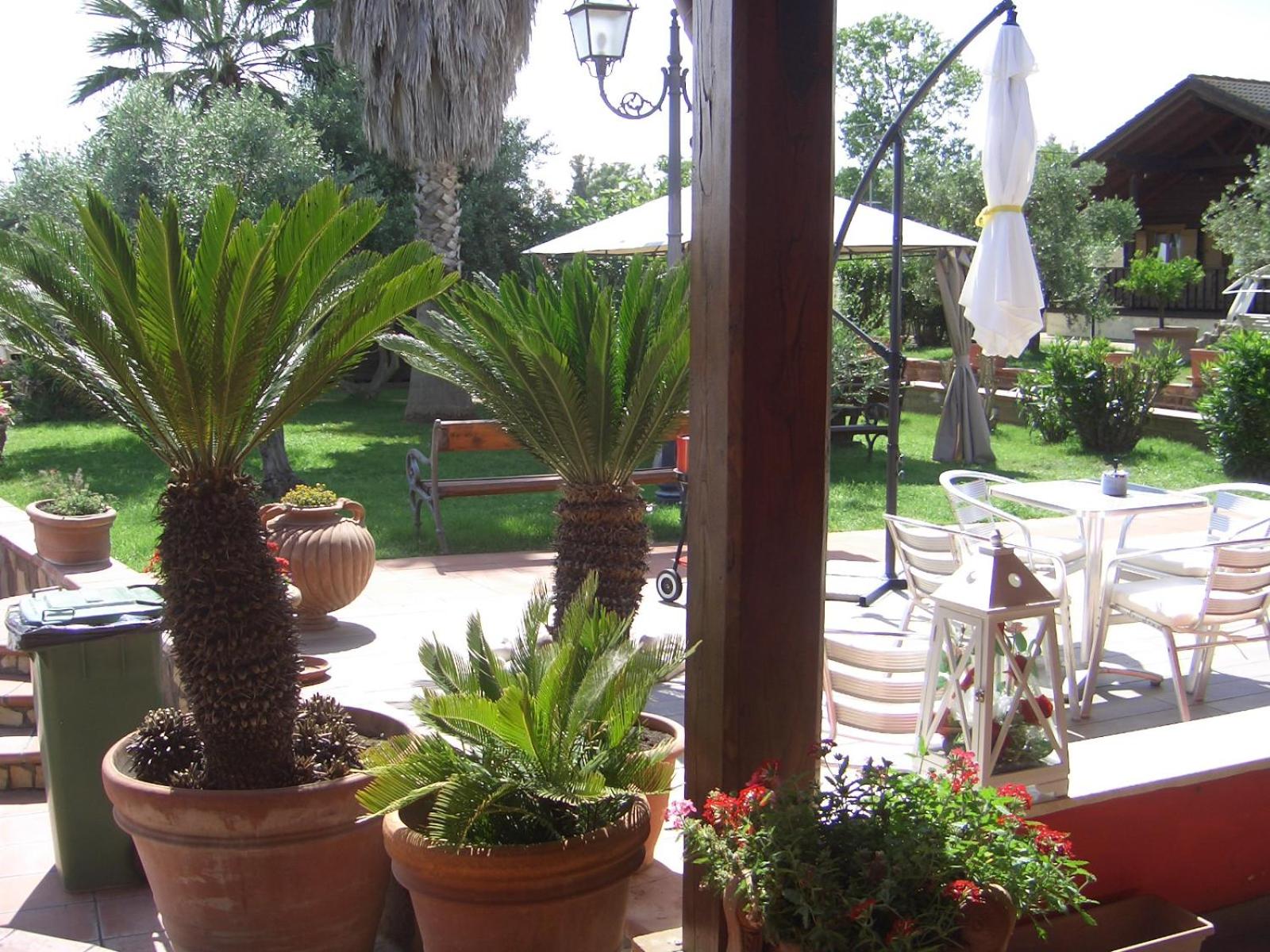 Photo 45