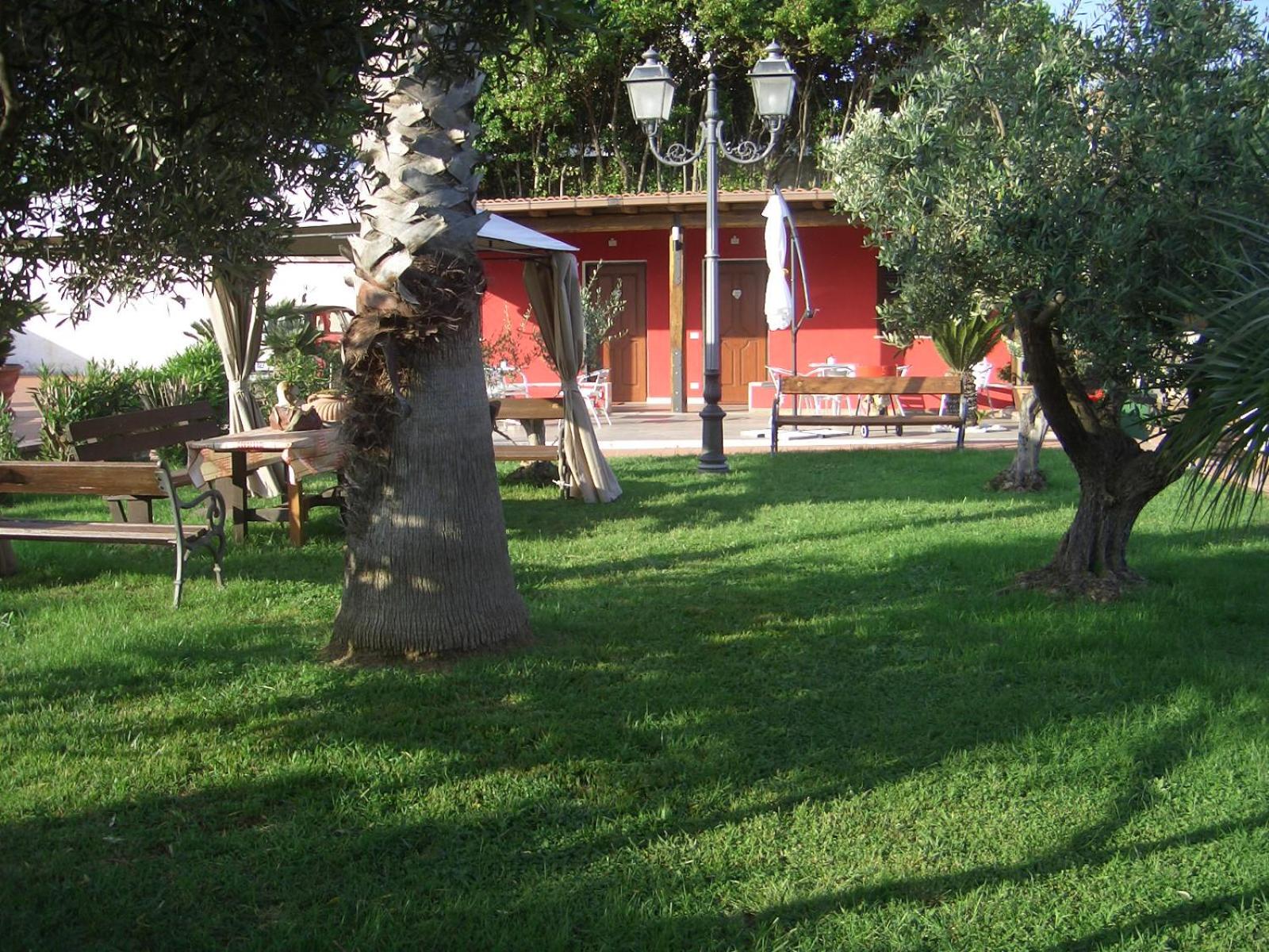 Photo 42