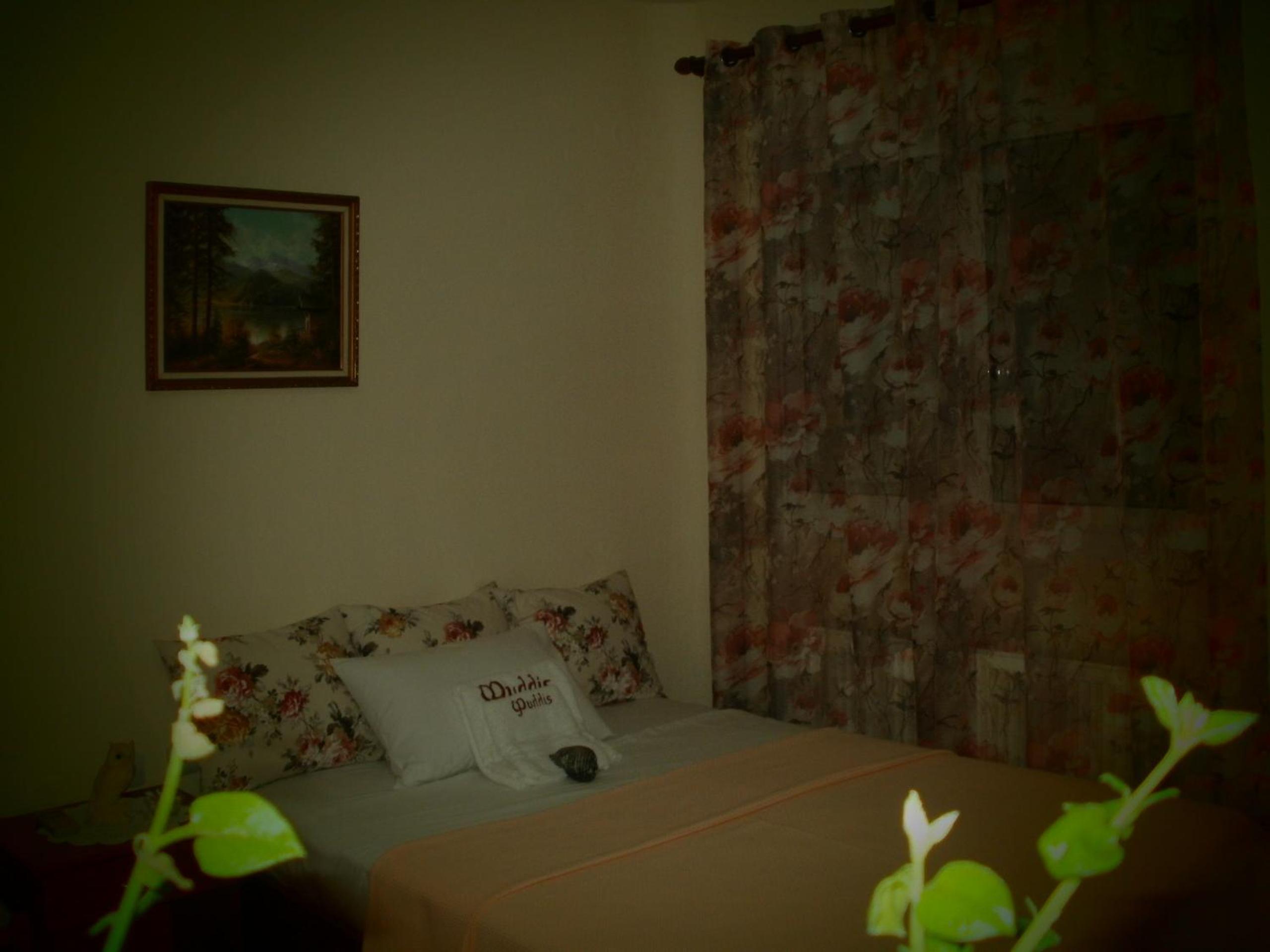 Phyllis Maisonettes photo 2