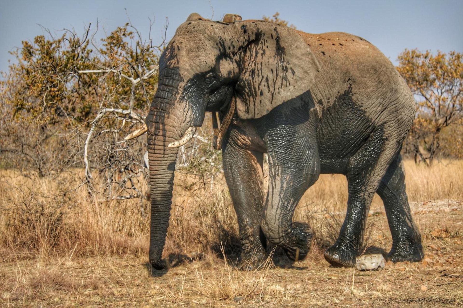 OuKlip Game Lodge