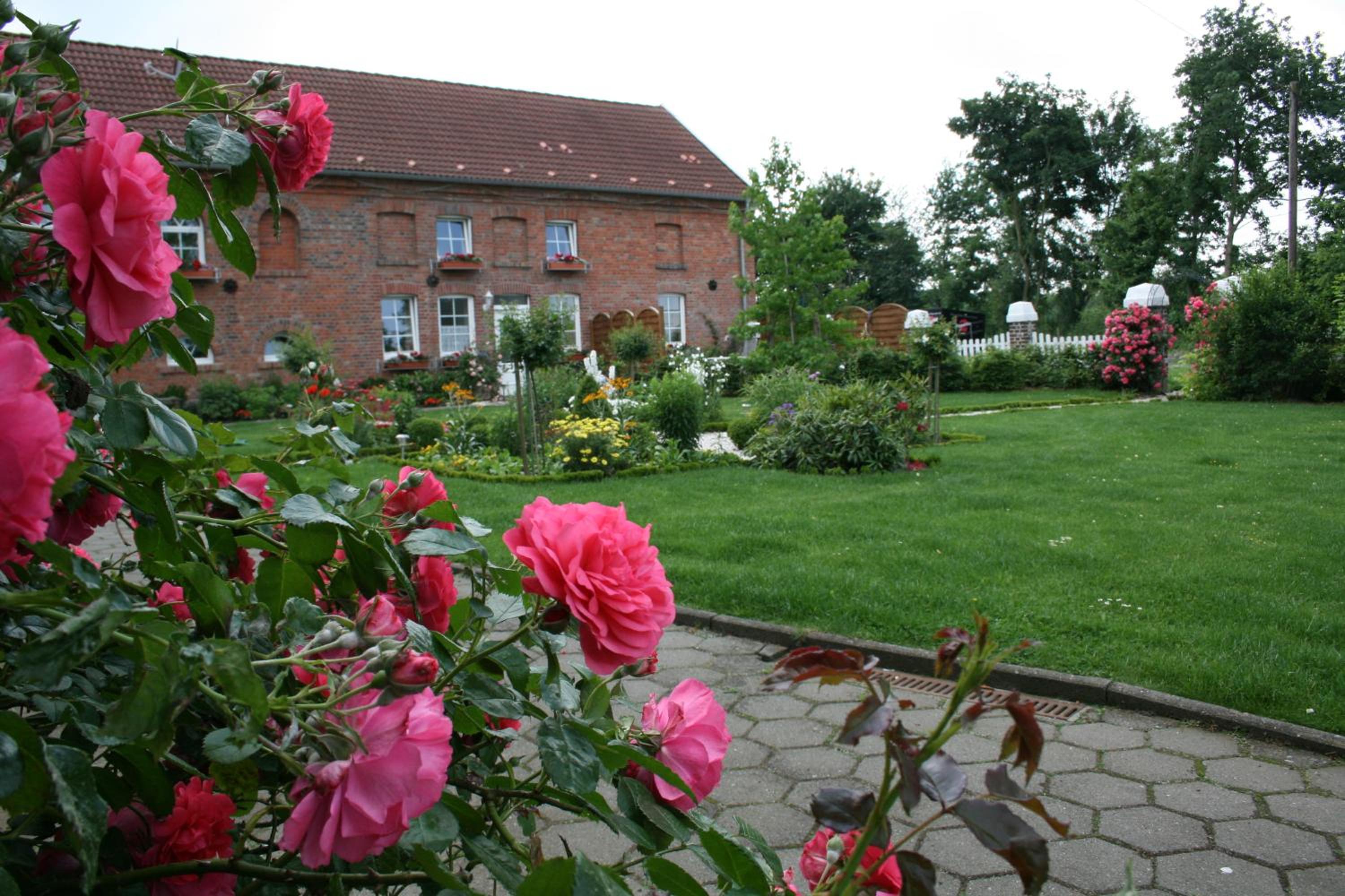 Photo 45