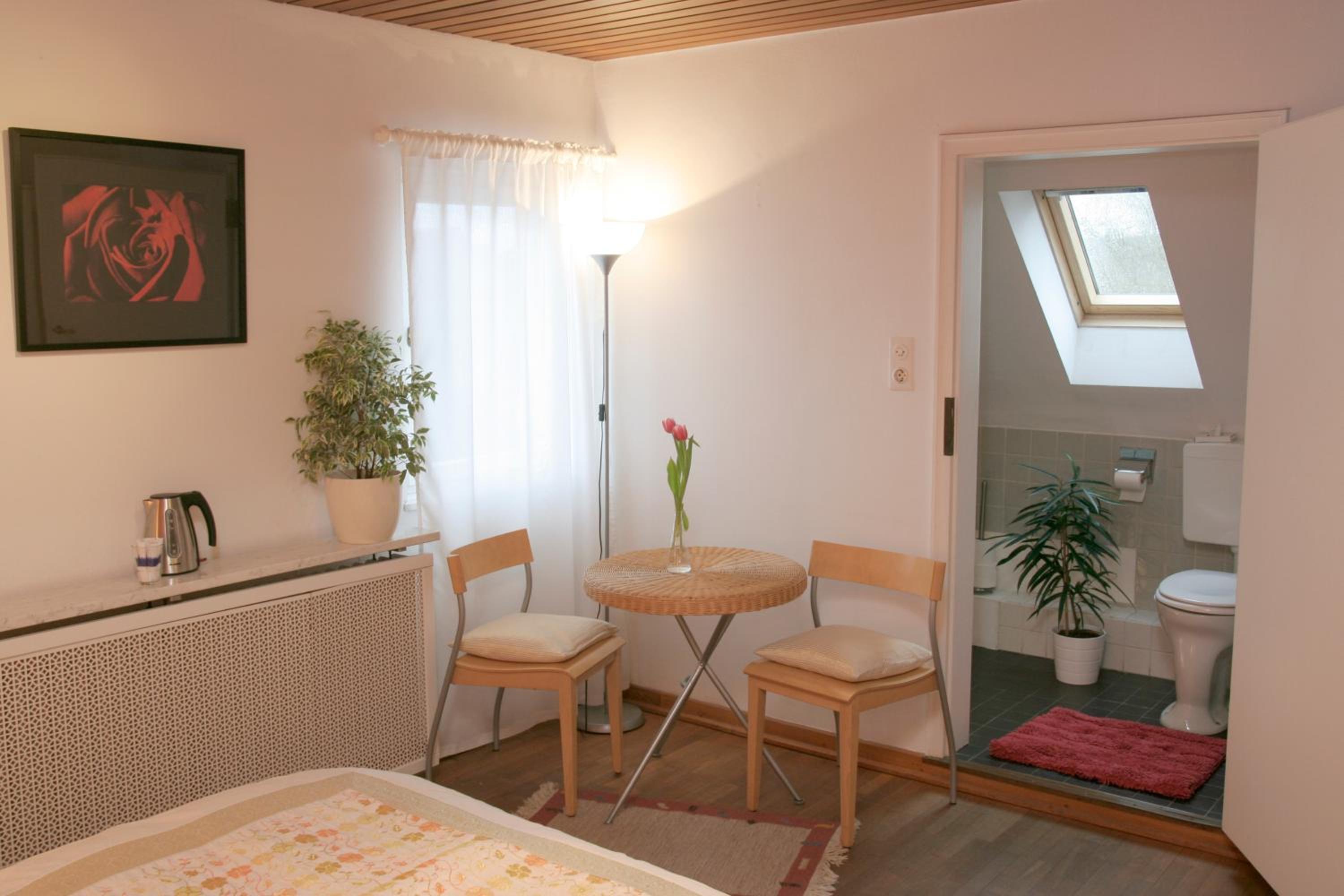 Rhein River Guesthouse - direkt am Rhein