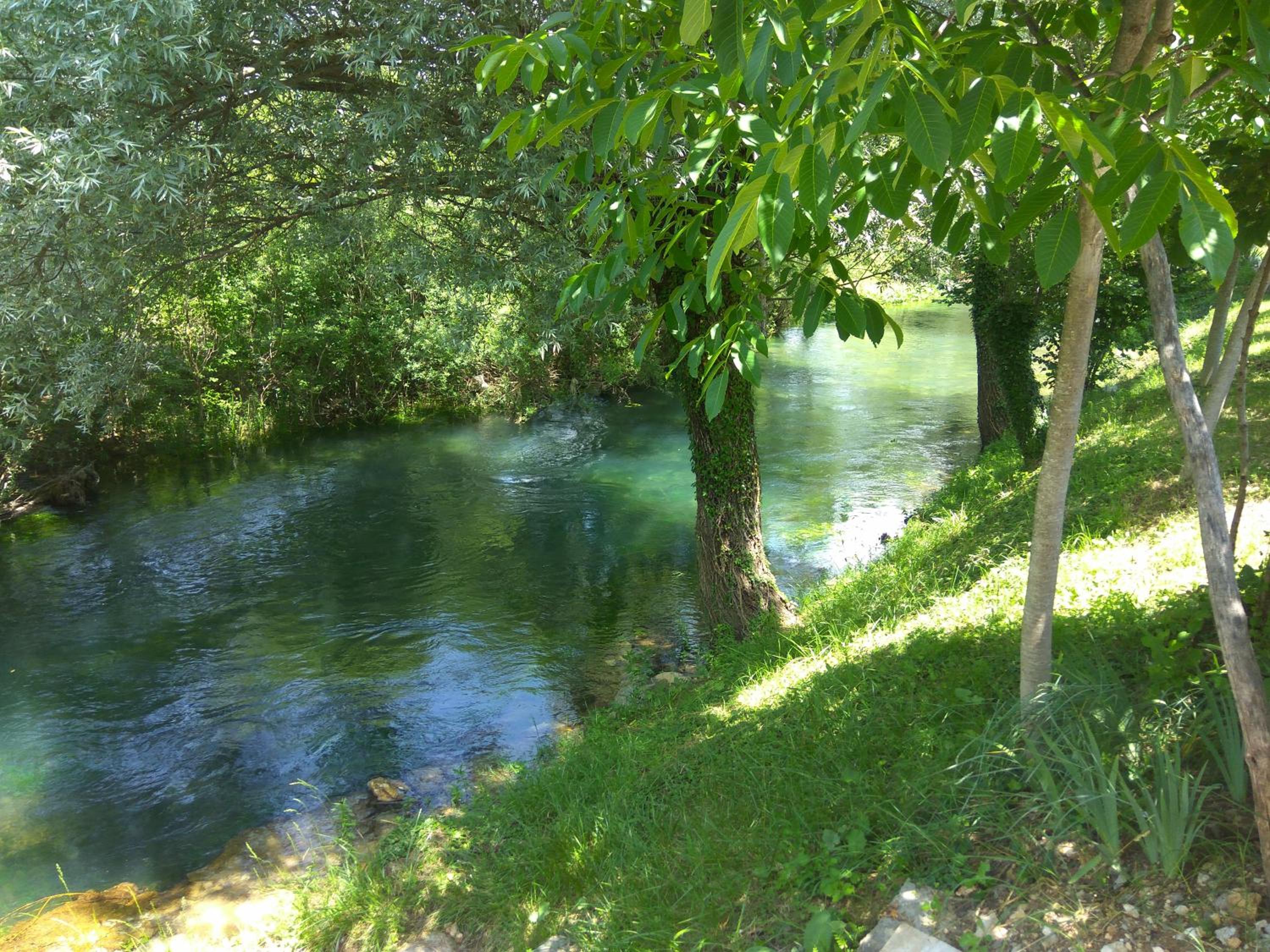 Photo 48