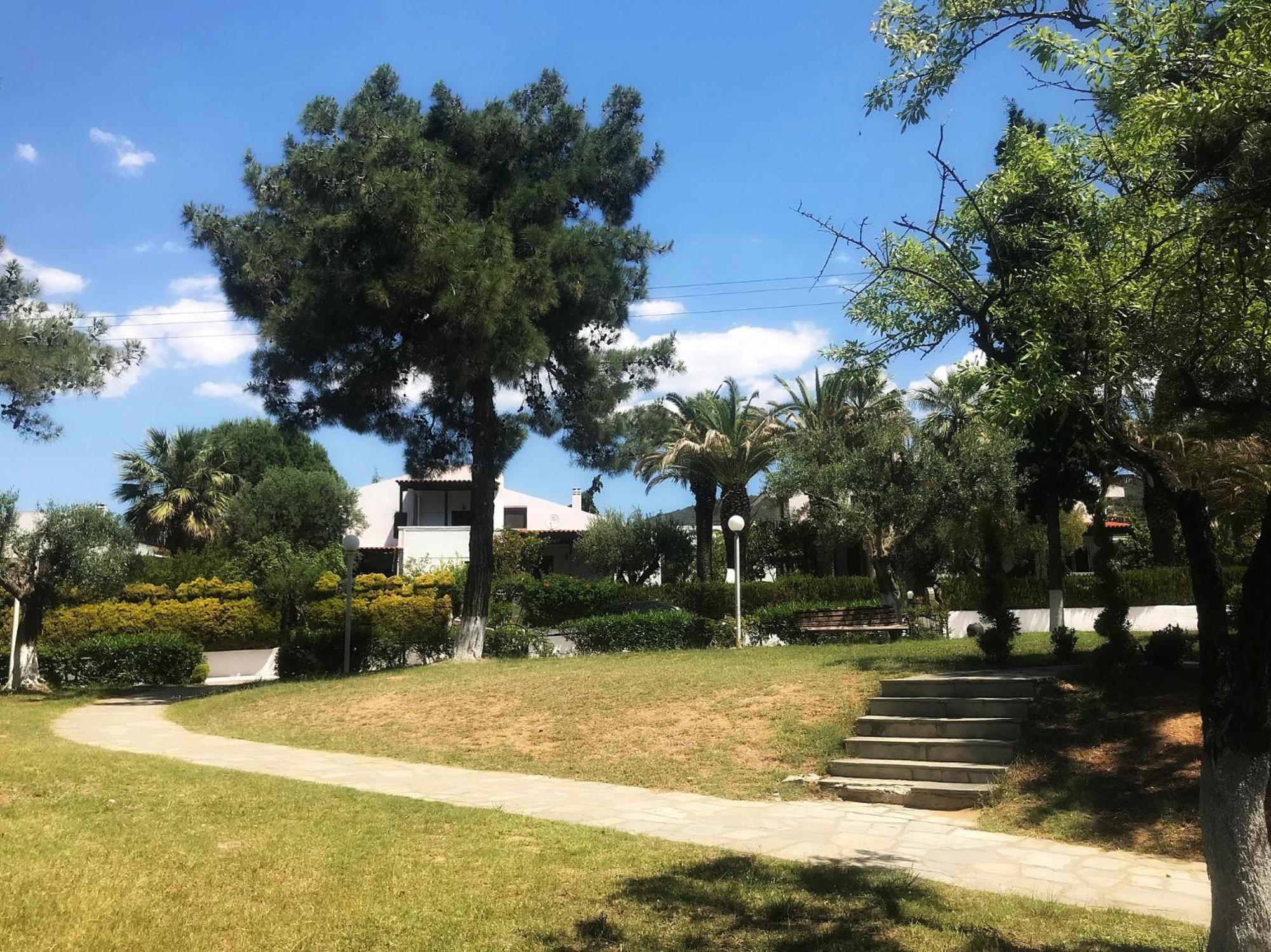 Photo 21