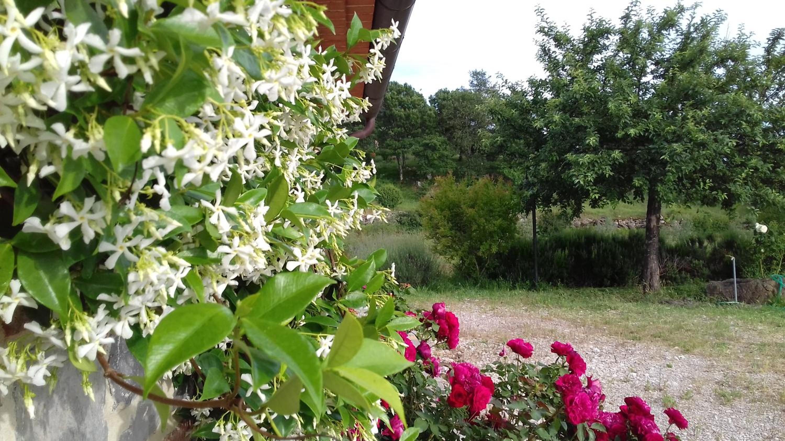 Photo 44