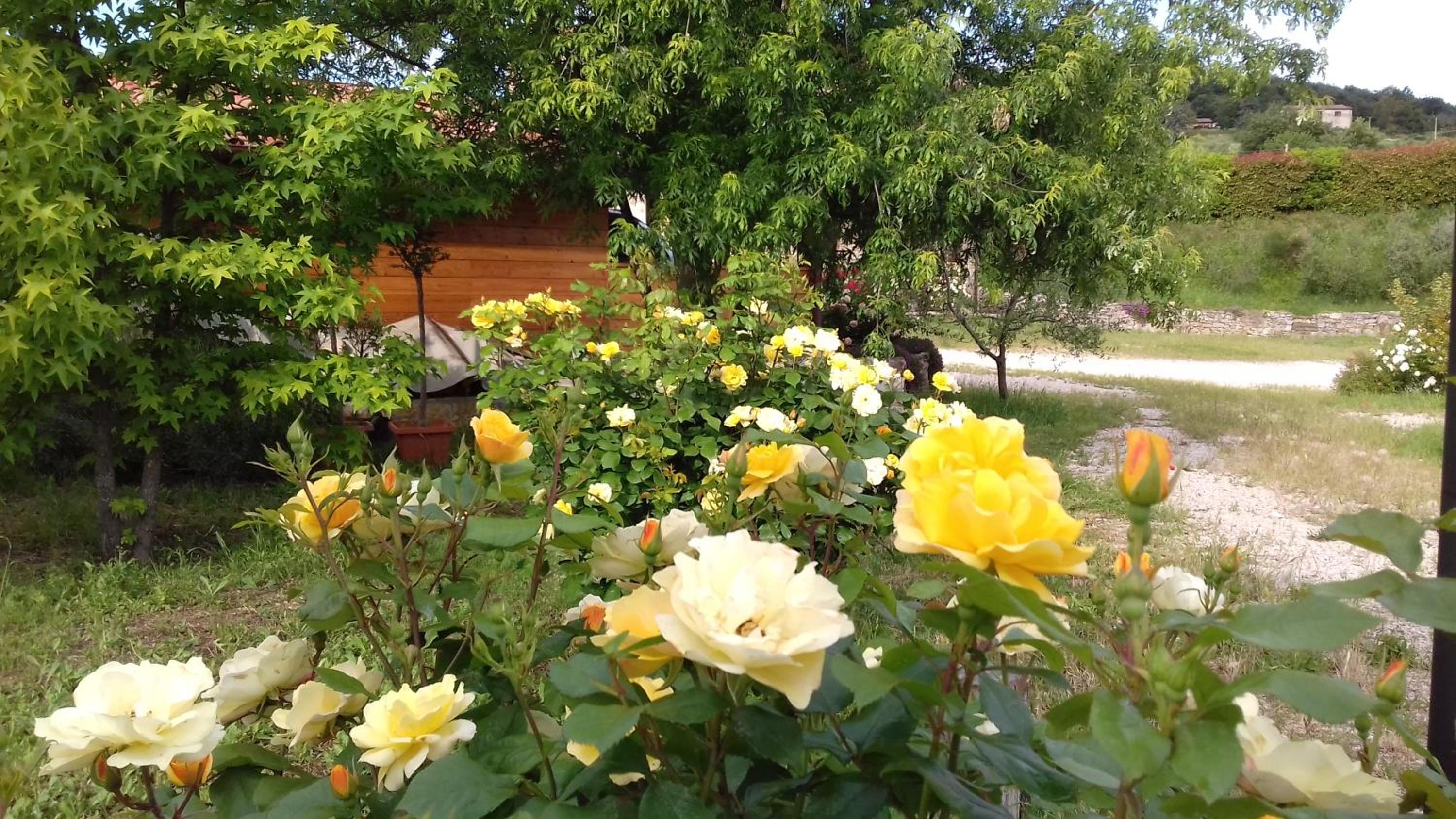 Photo 43
