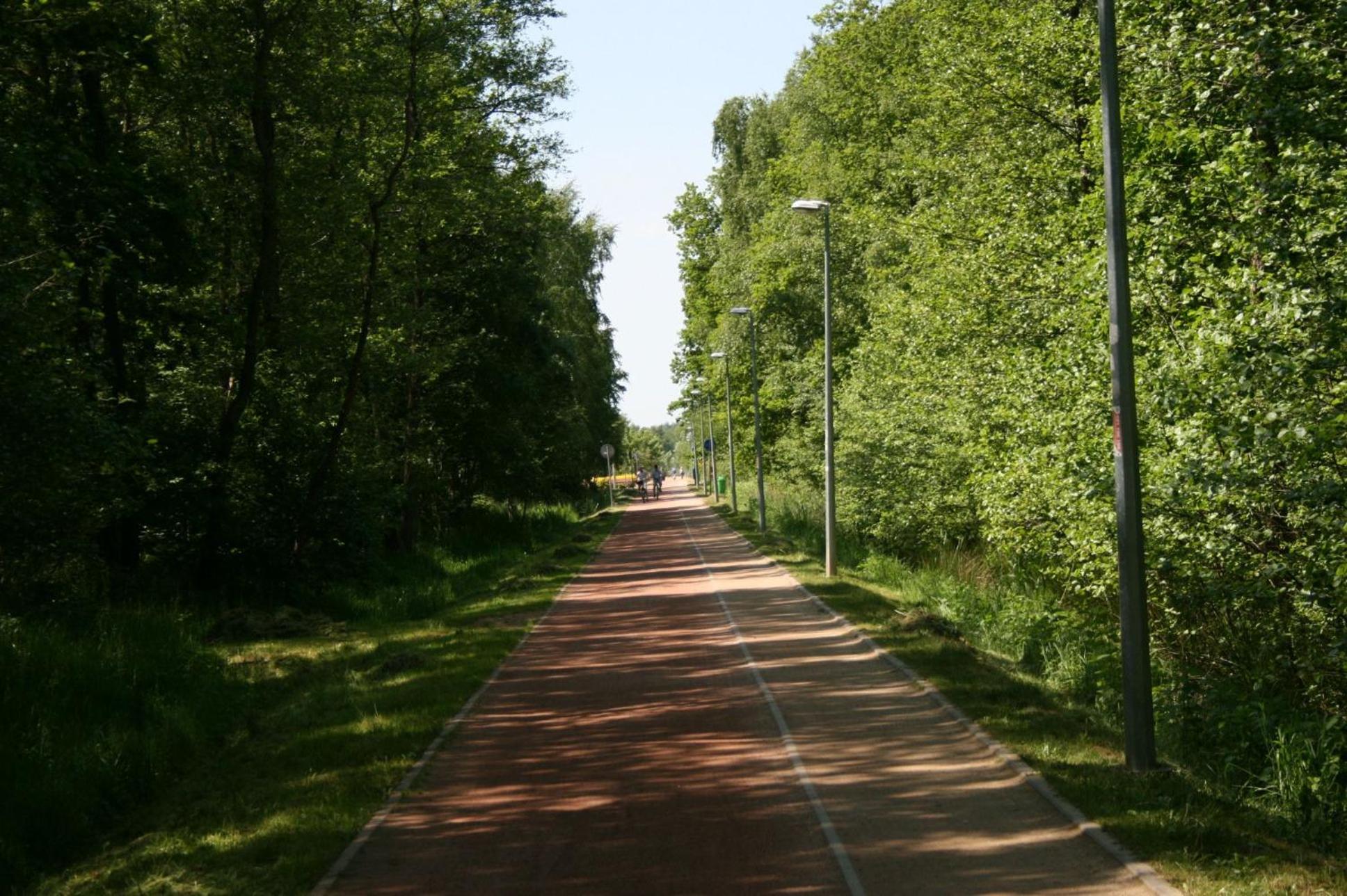 Photo 23