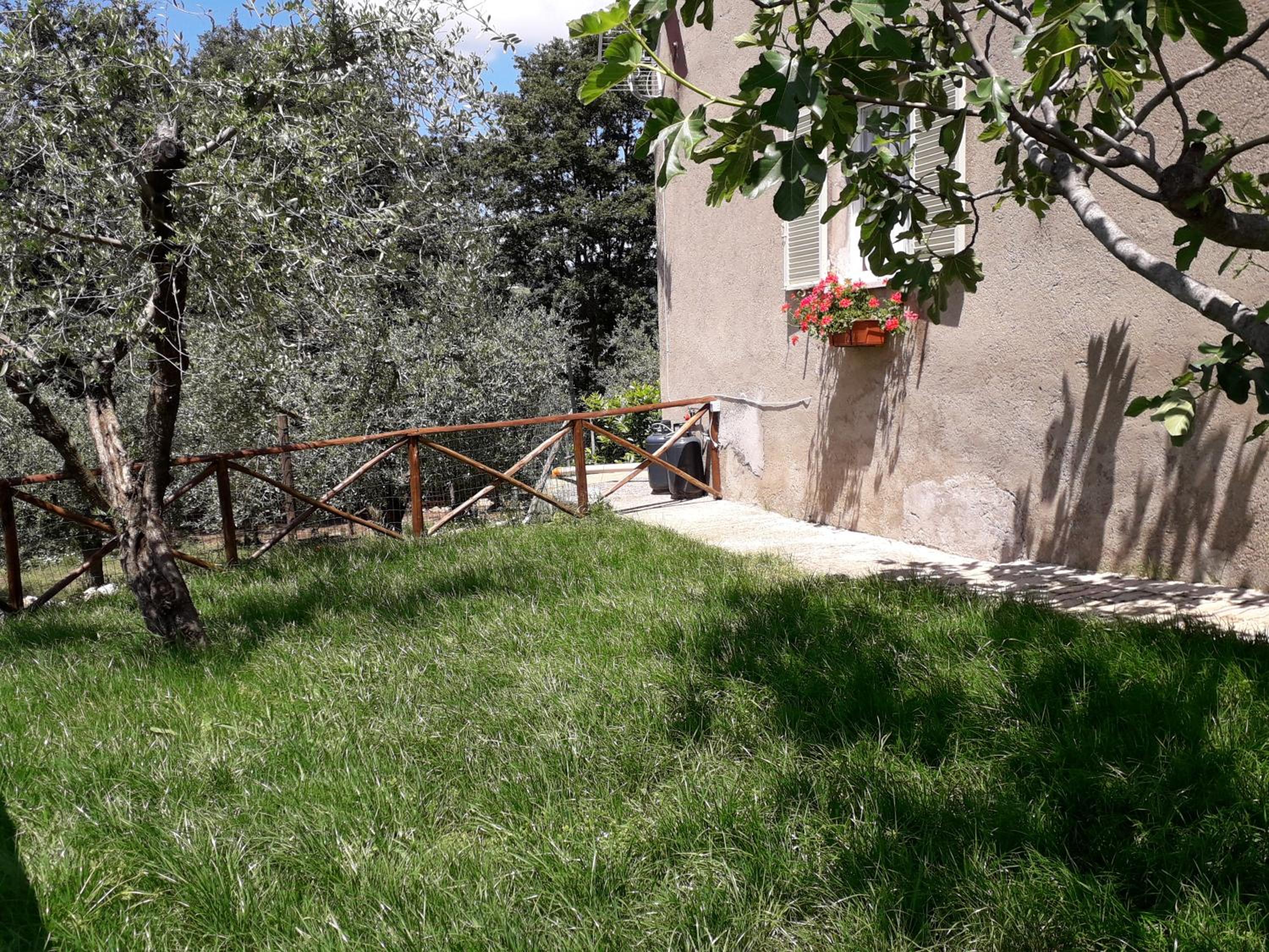 Photo 26