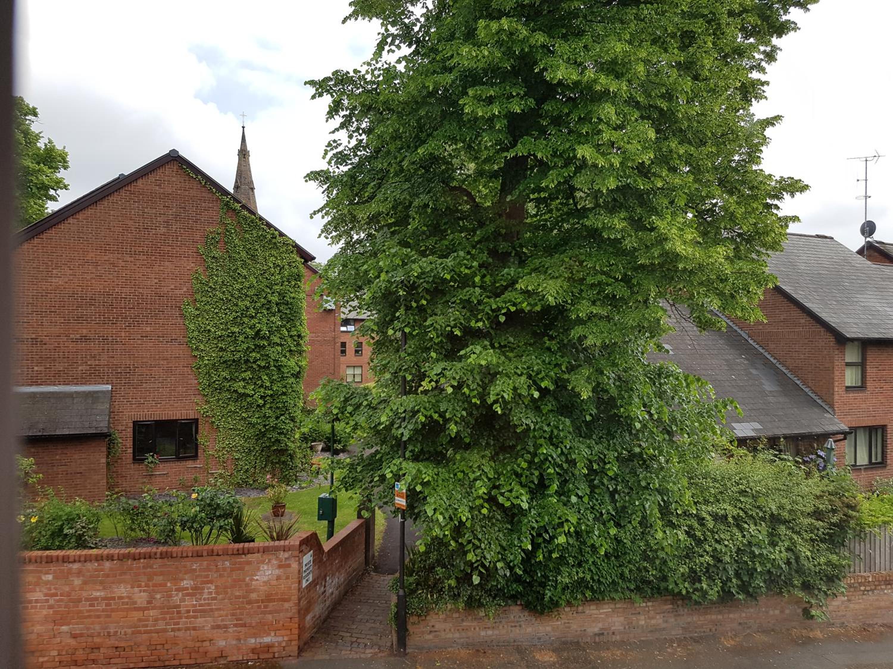Alexandra Lodge Guest House view 4