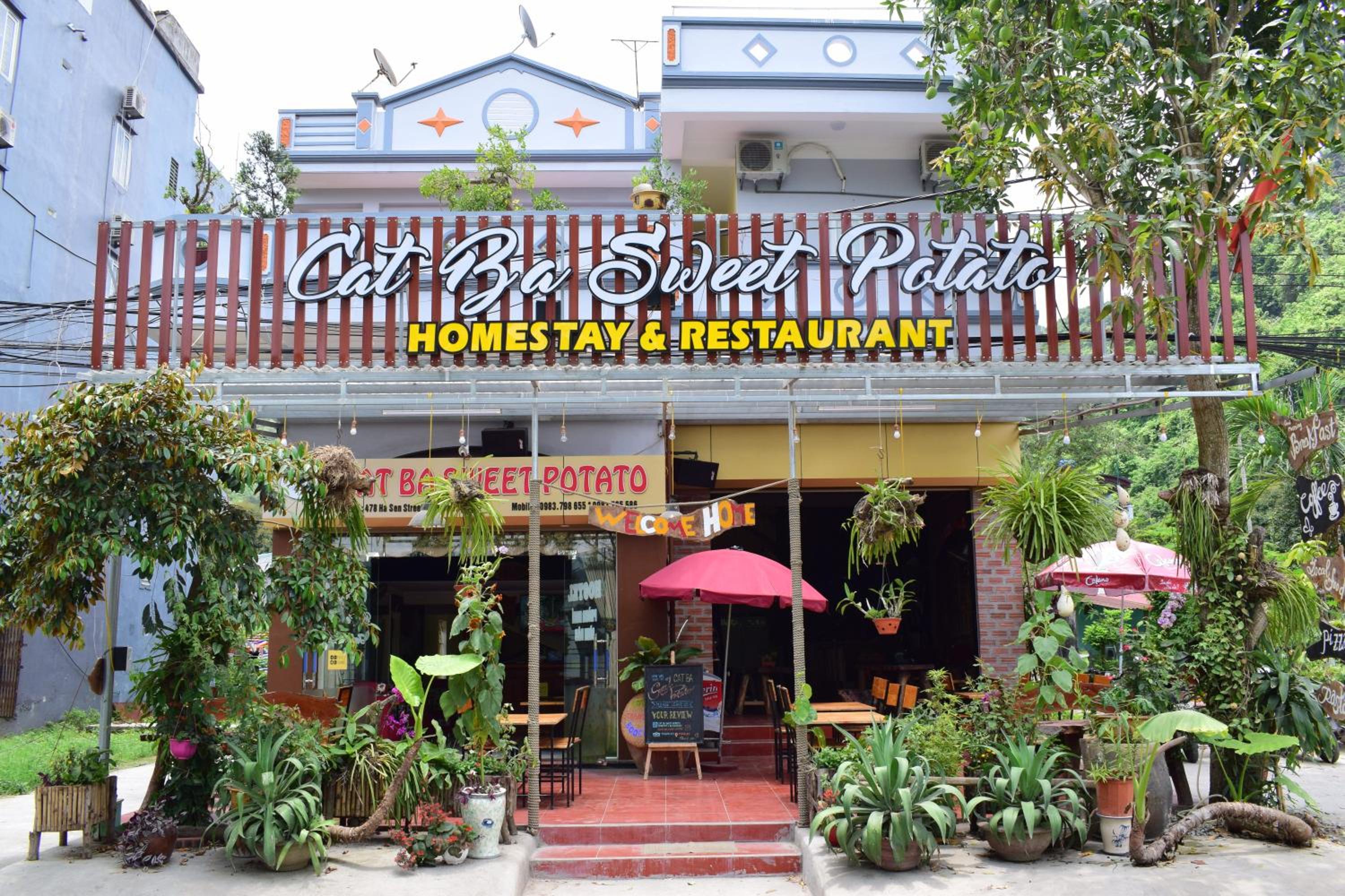 Cat Ba Sweet Potato Homestay