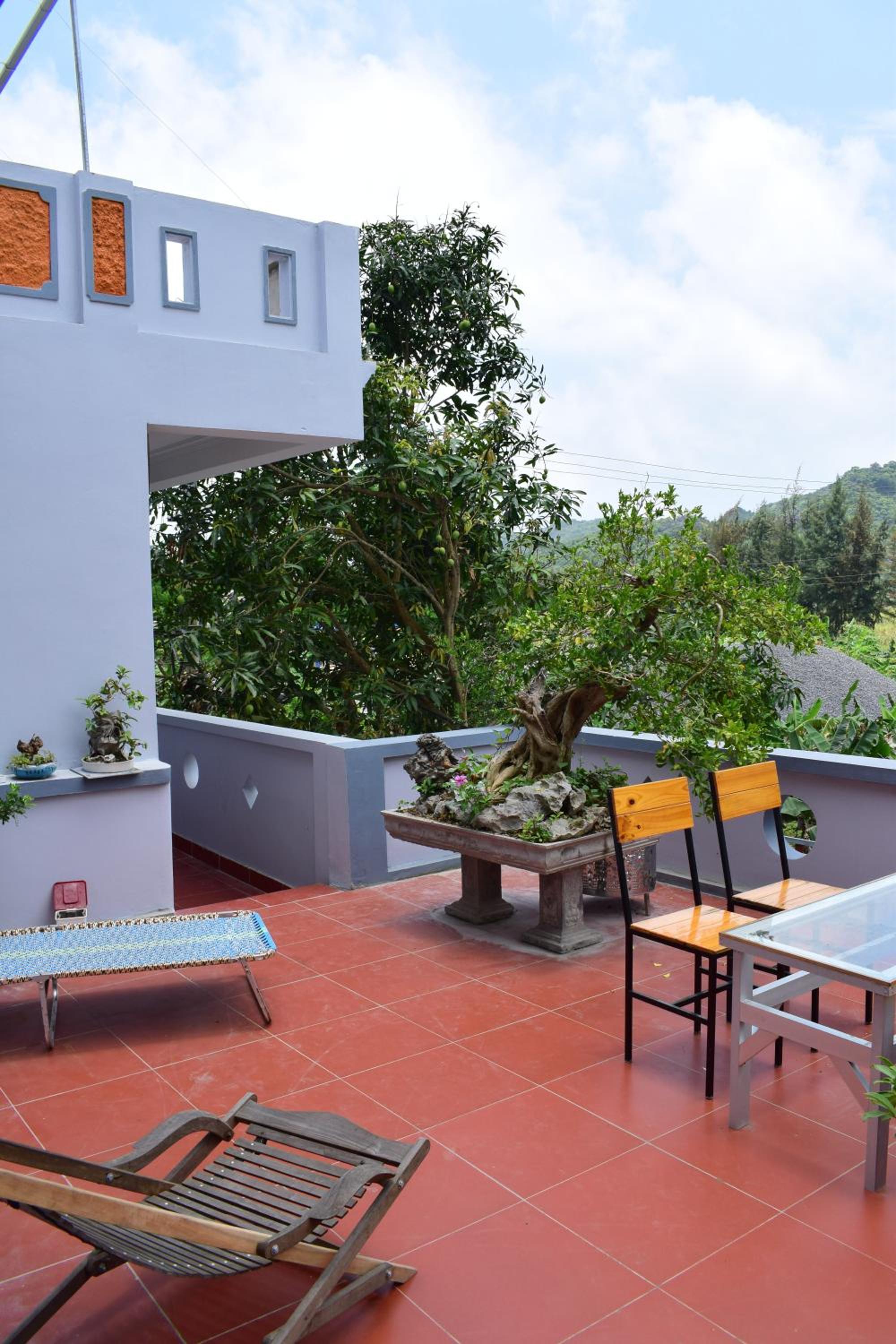 Cat Ba Sweet Potato Homestay