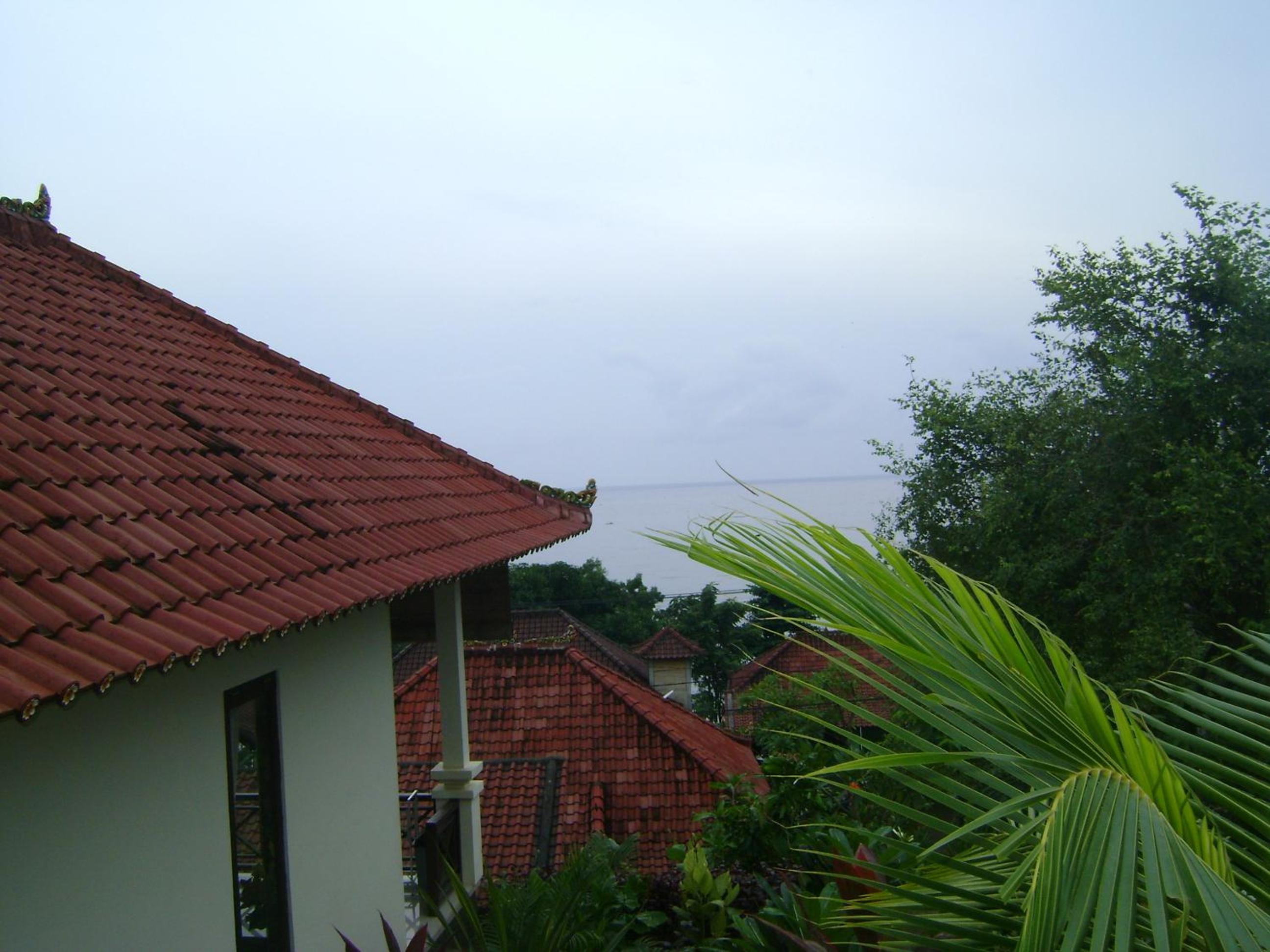 Photo 44