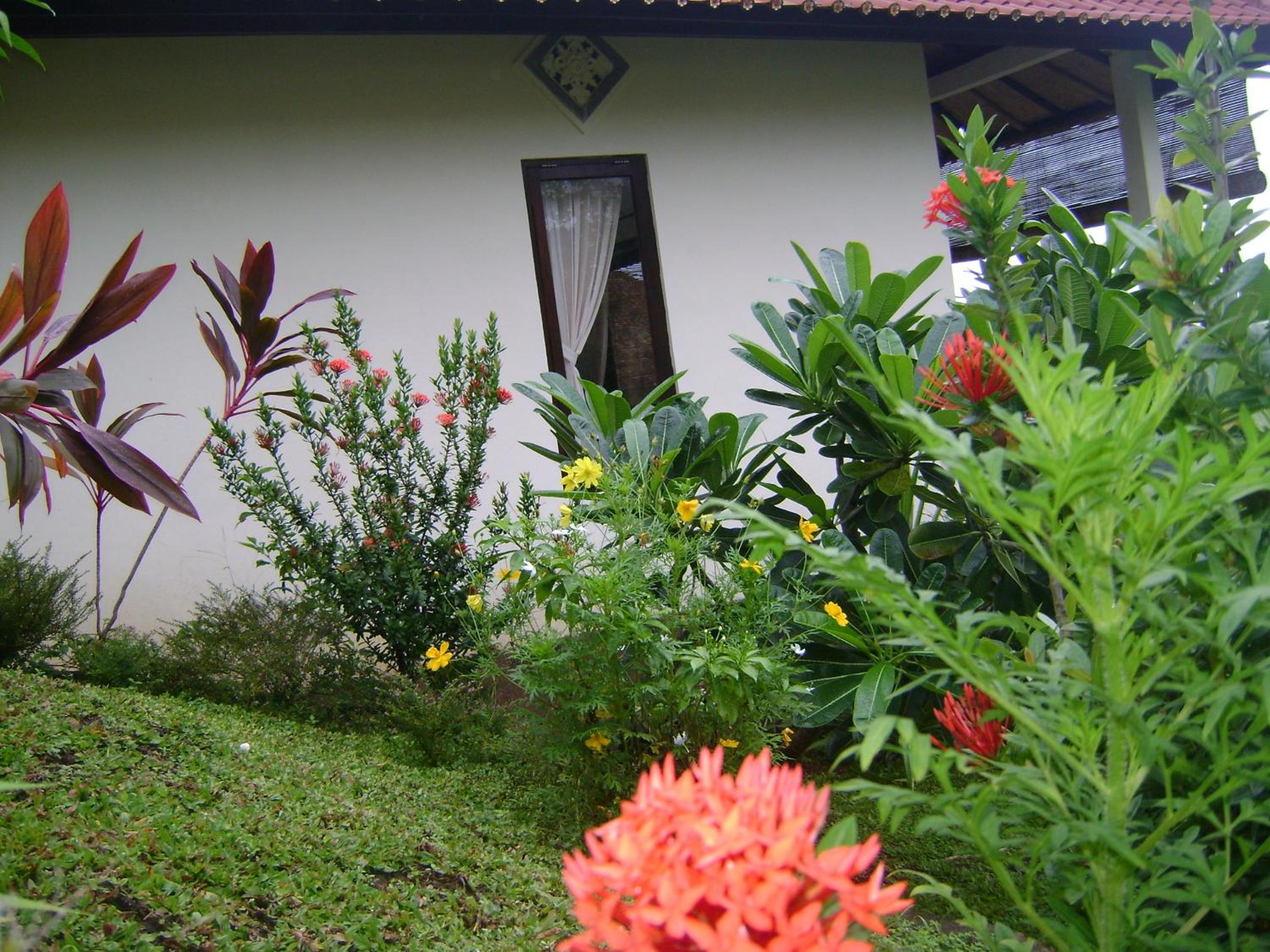 Photo 45
