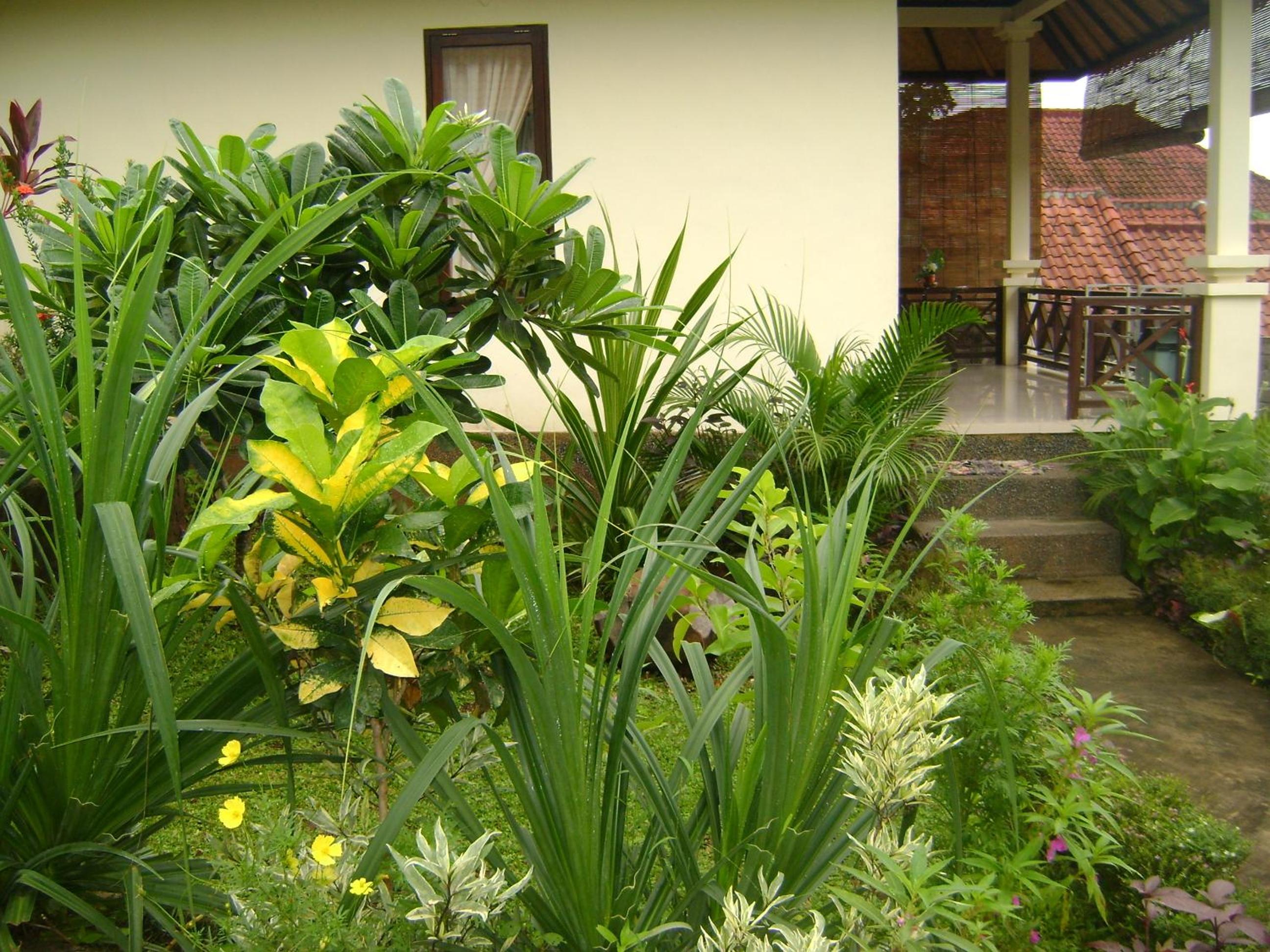 Photo 47