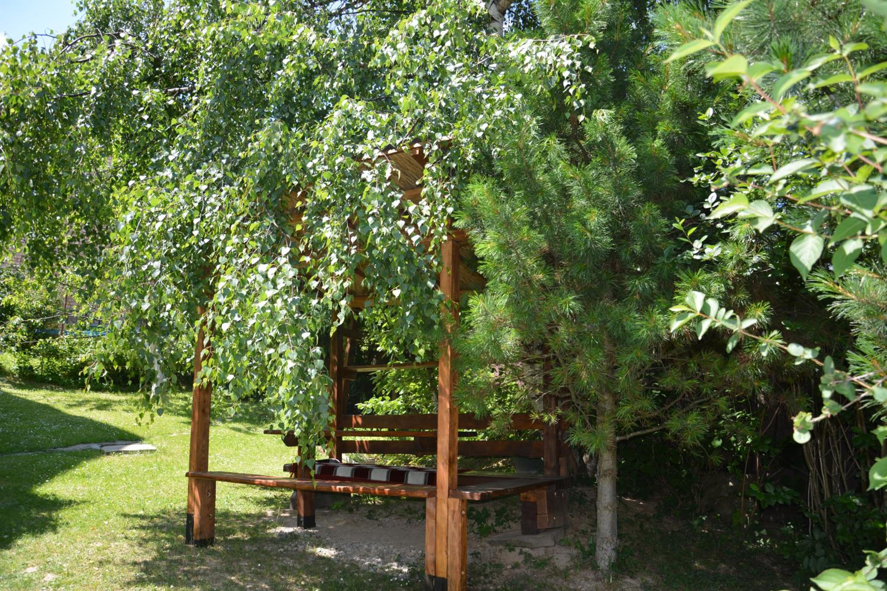 Photo 44