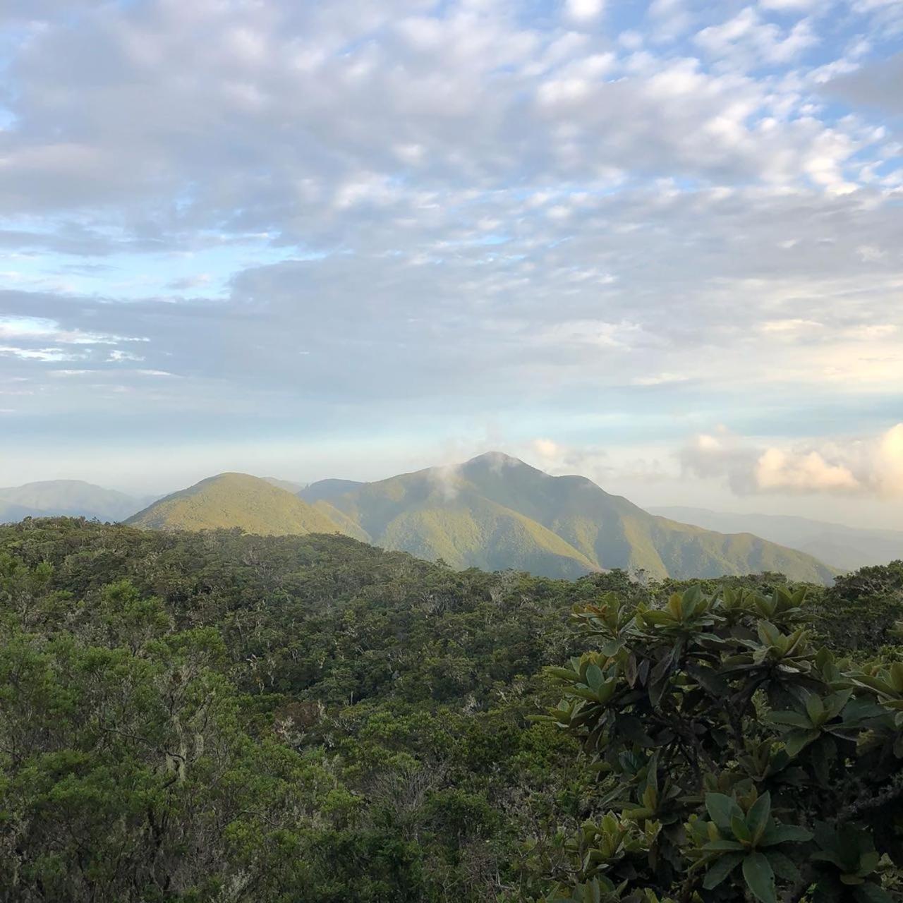 Jay's Guest House view 2
