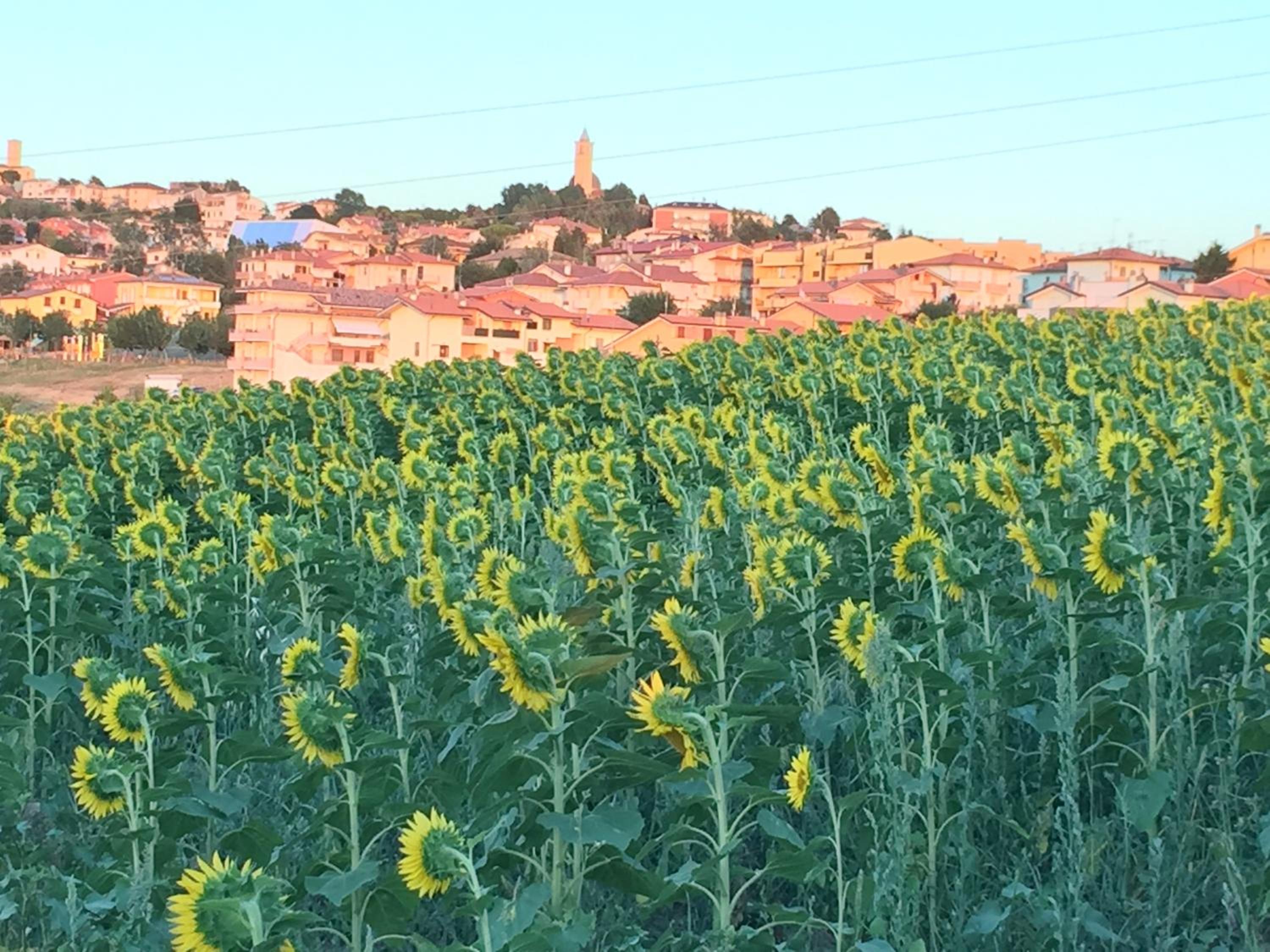 La Casetta
