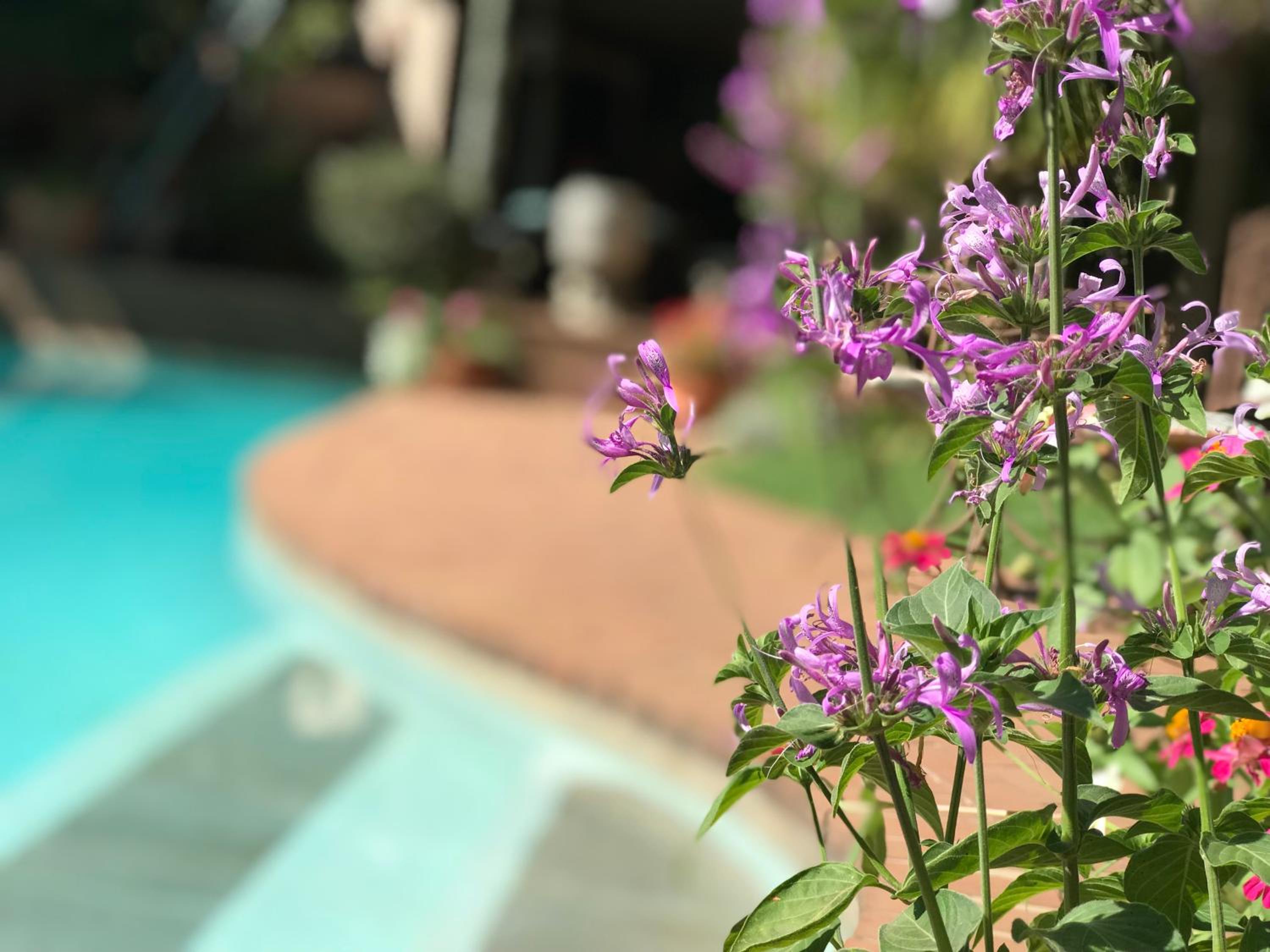 Claires of Sandton Luxury Guest House