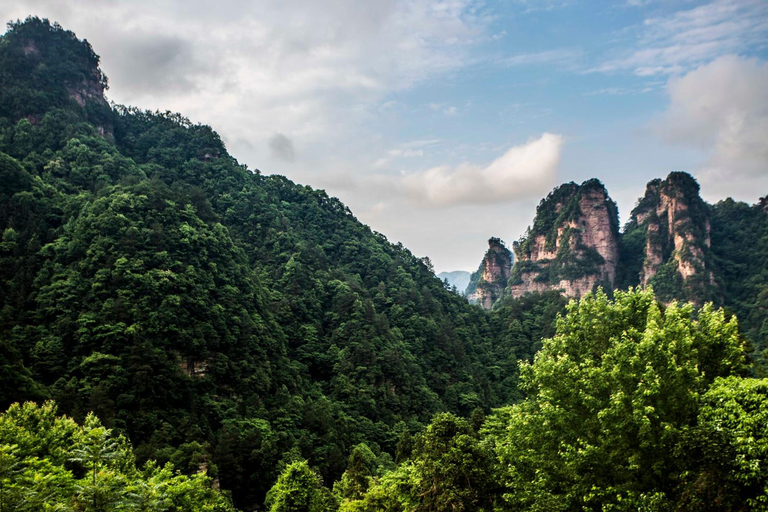 Zhangjiajie Mount View Cottage