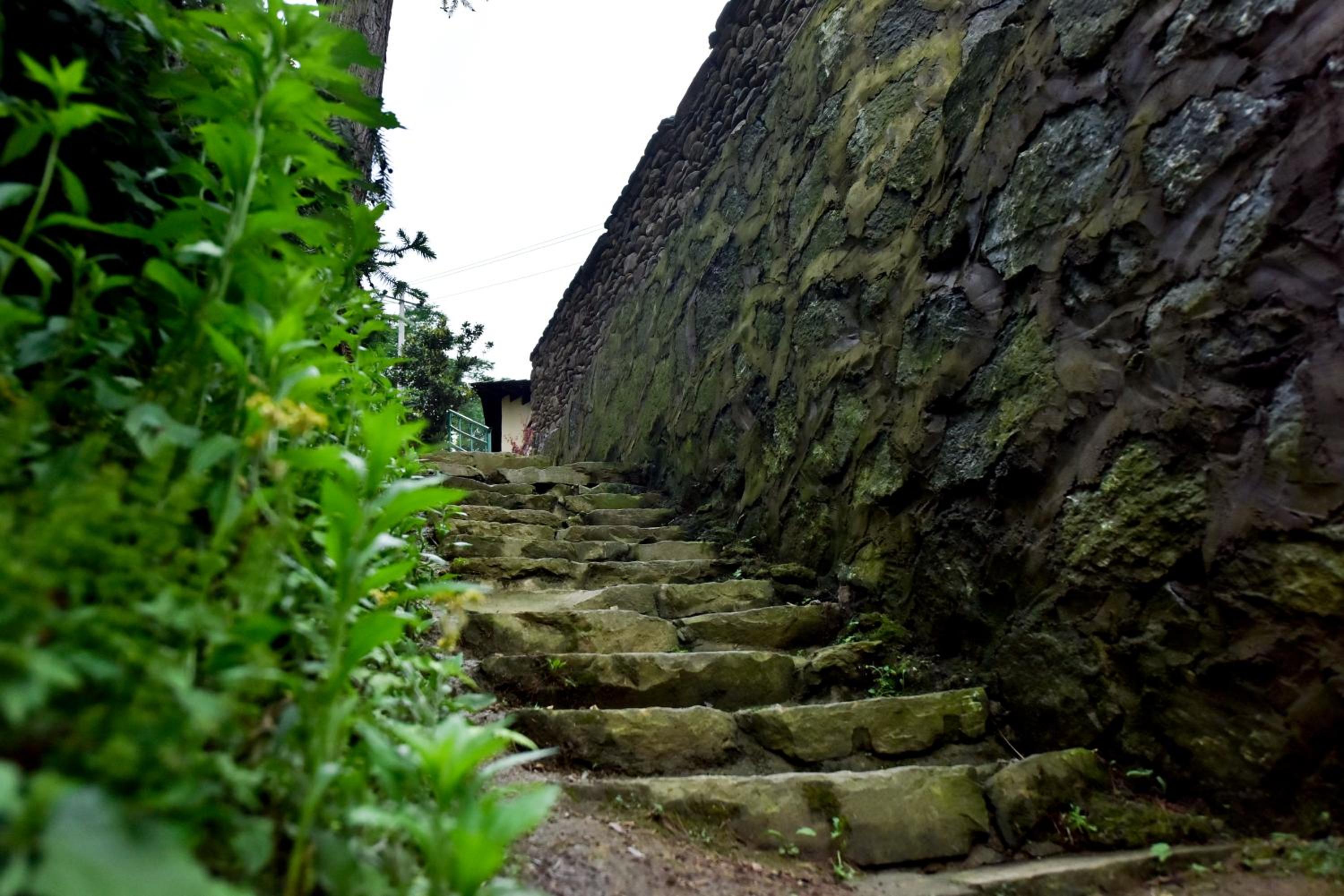 Zhangjiajie Mount View Cottage