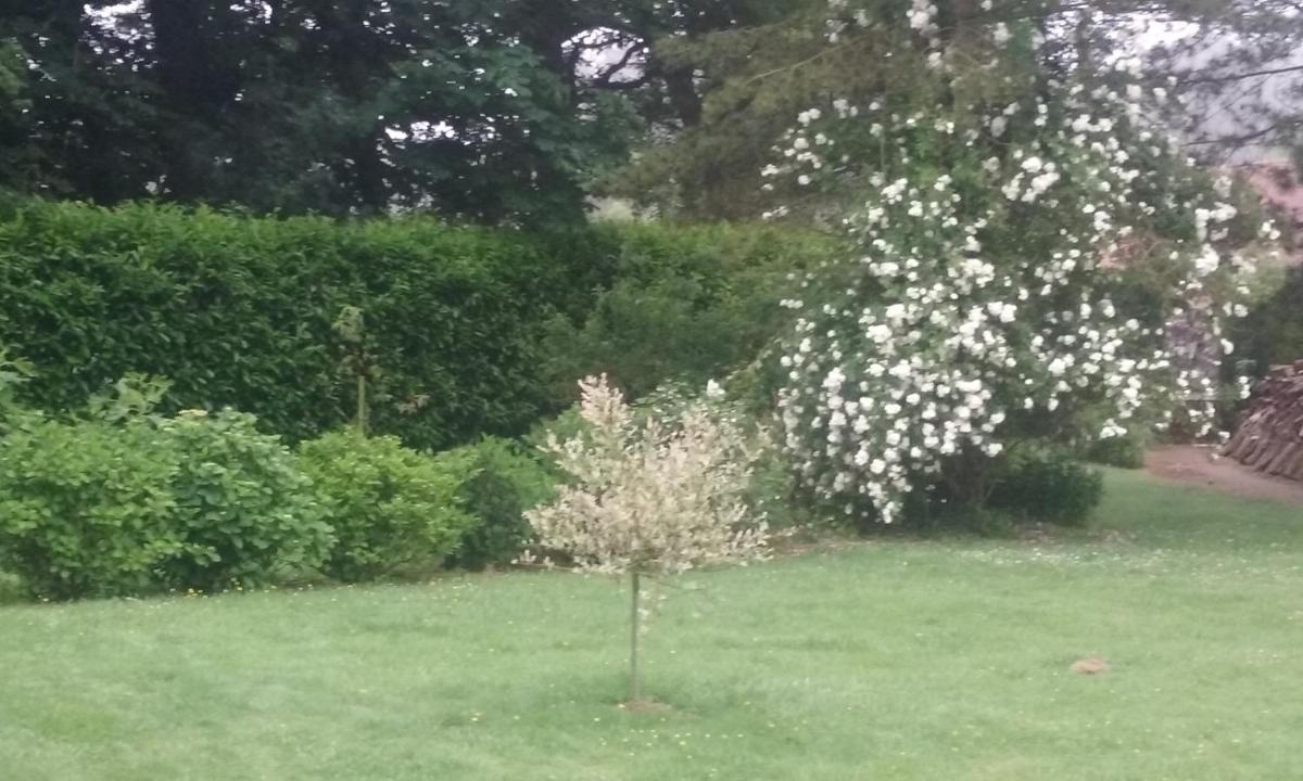 Photo 16