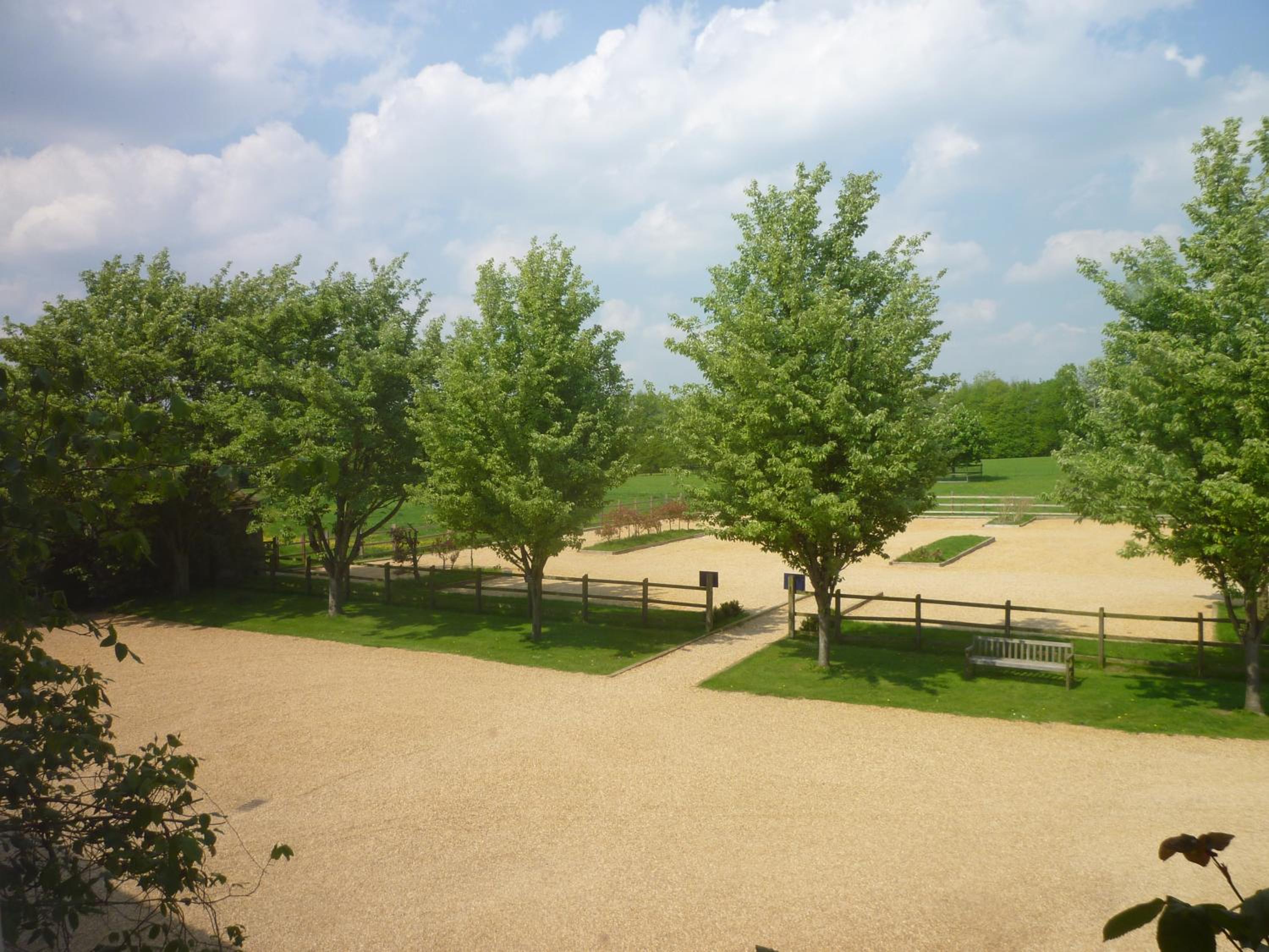 Photo 15