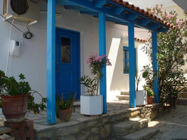 Xenonas Blue