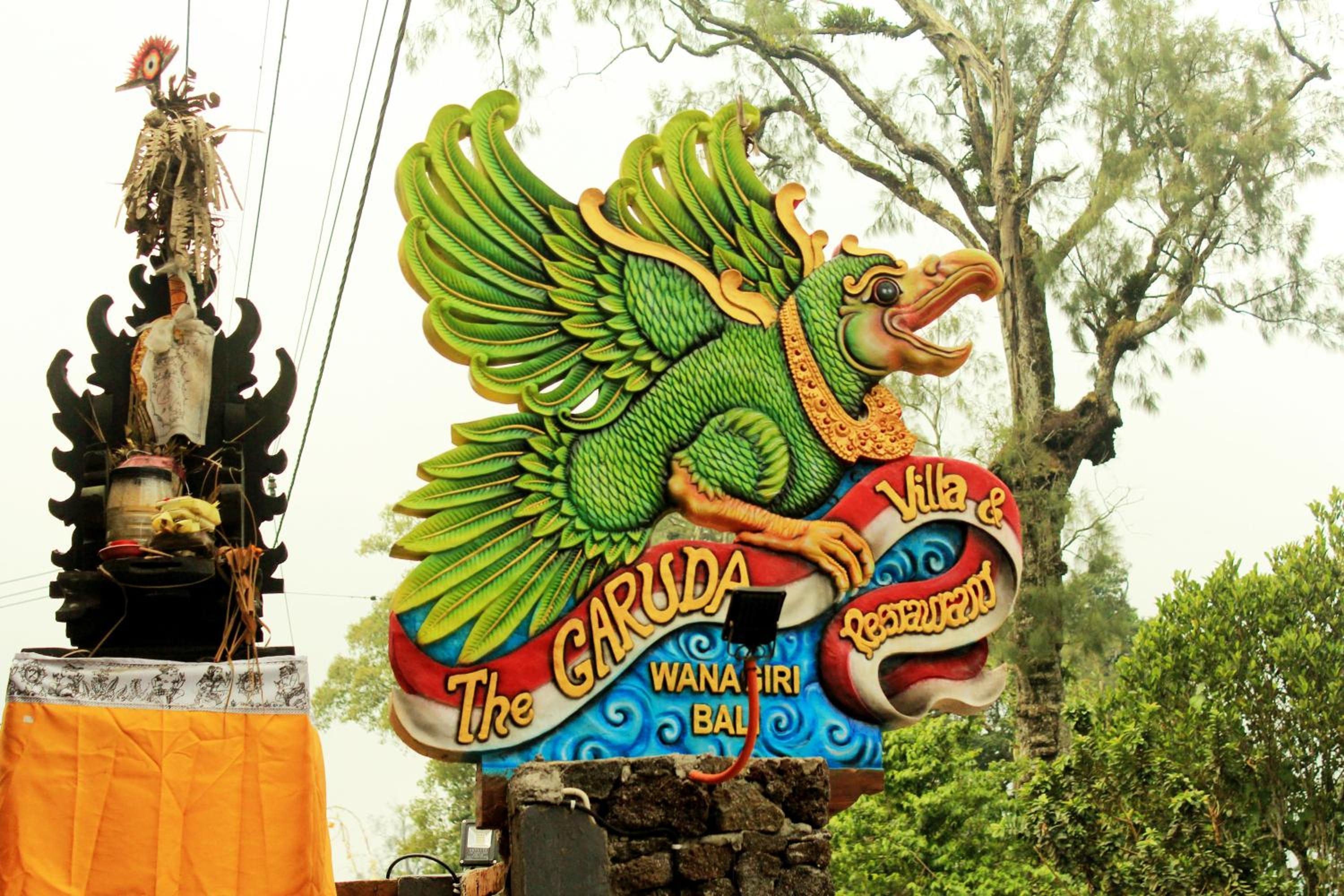 Photo 20