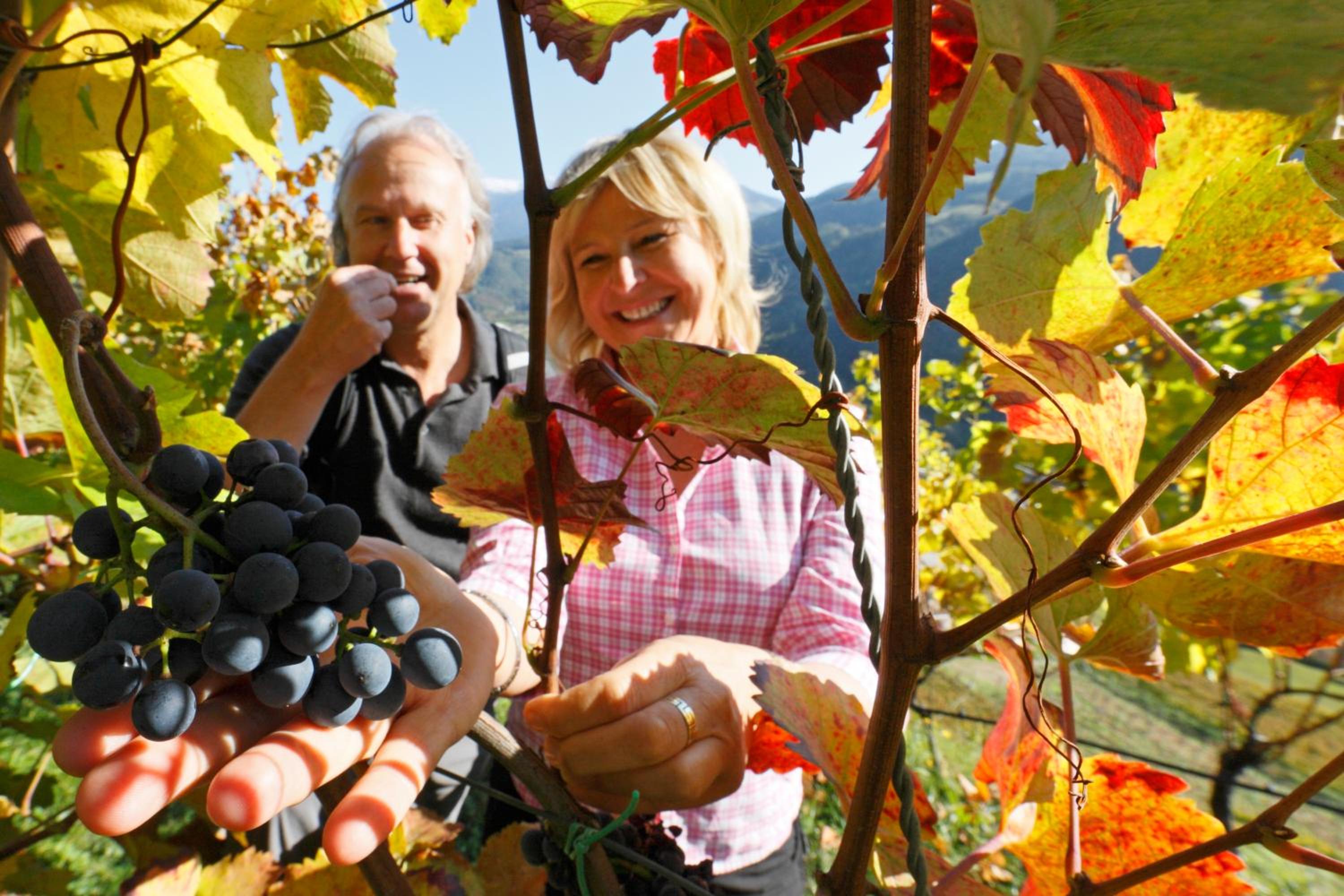 Photo 37