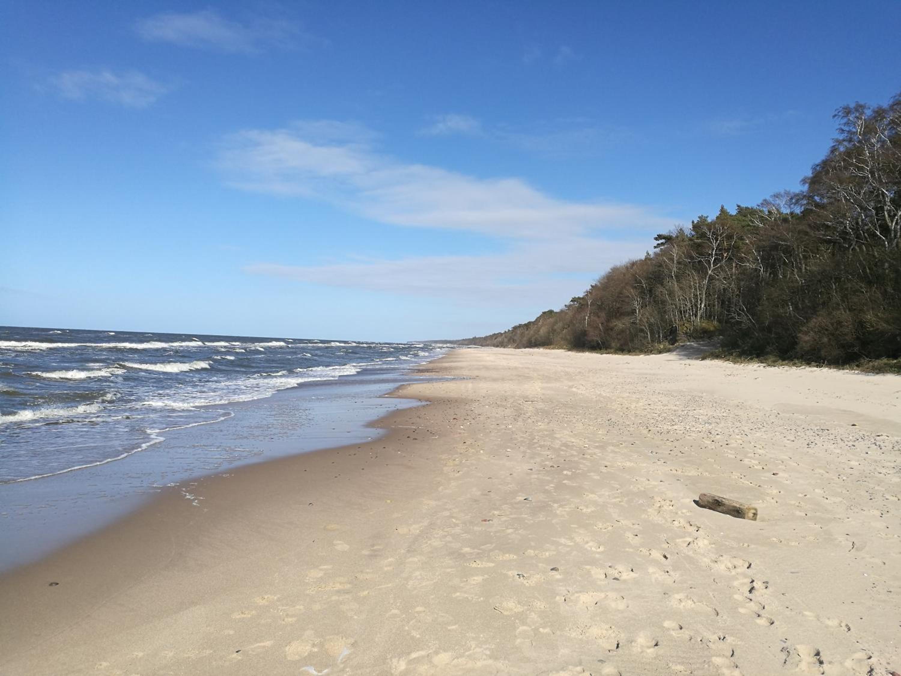 De Luxe Blue Mare view 4