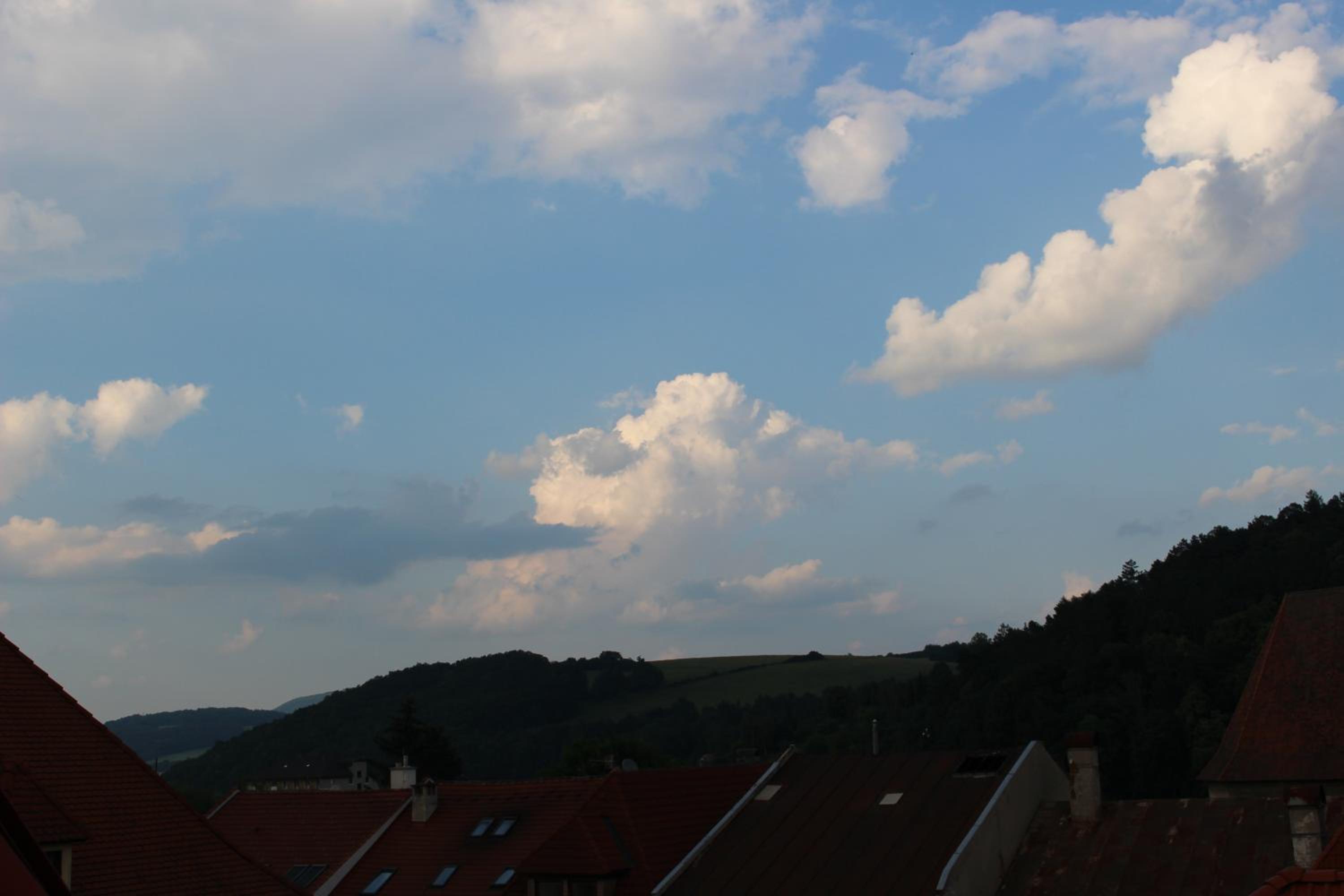 Photo 45