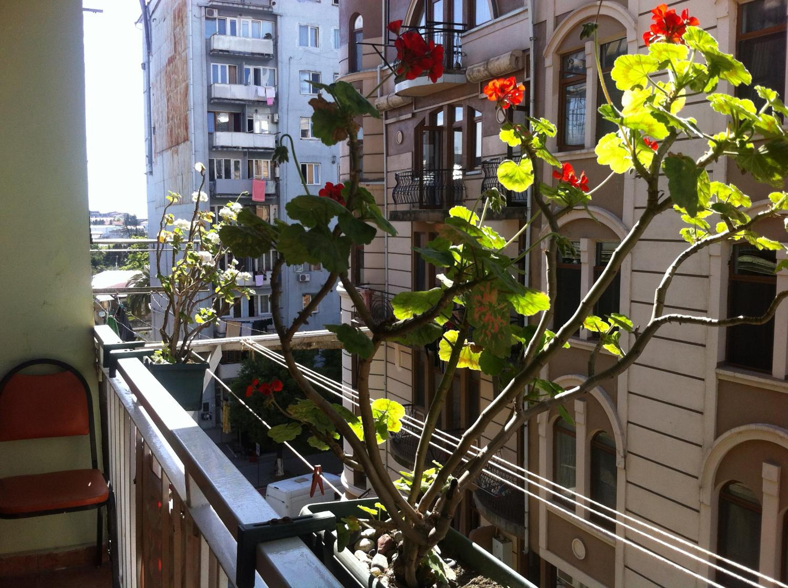 Photo 16