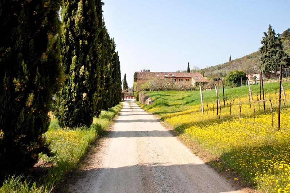 Villa Avesa view 4