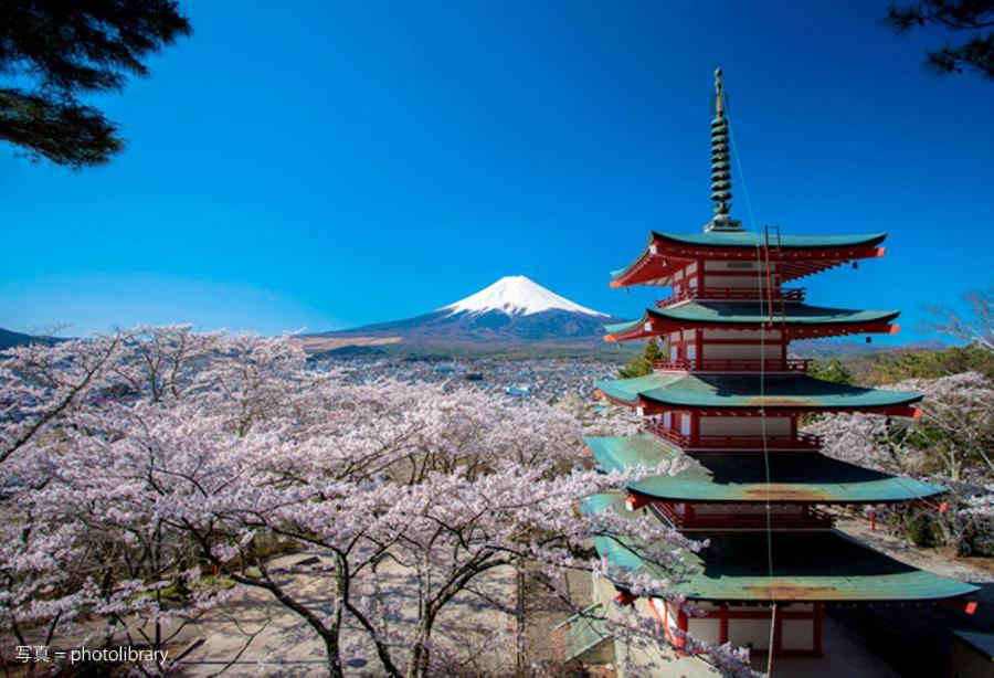 Fuji Sakura House