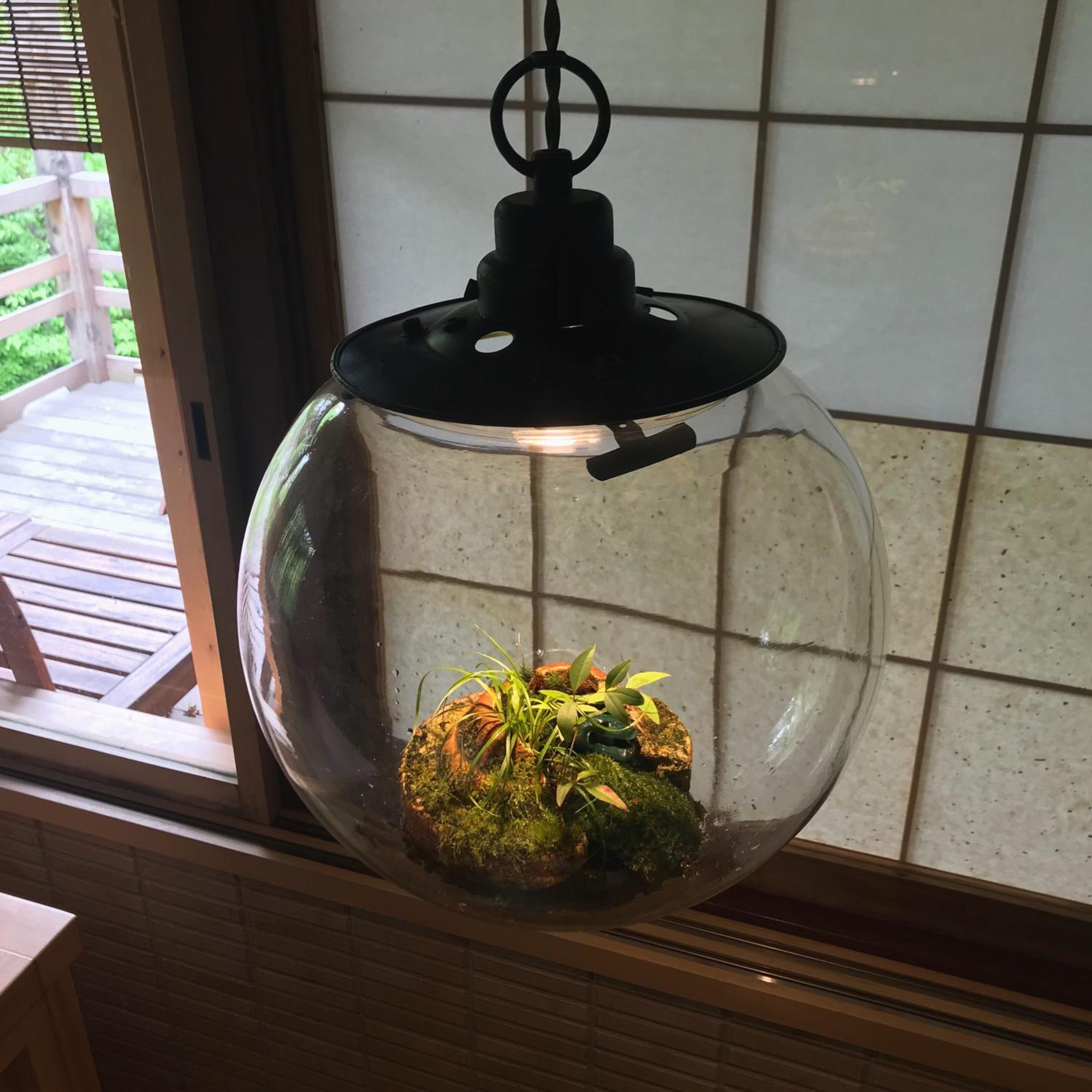 Kyoto Nanzenji Ryokan Yachiyo Established in 1915