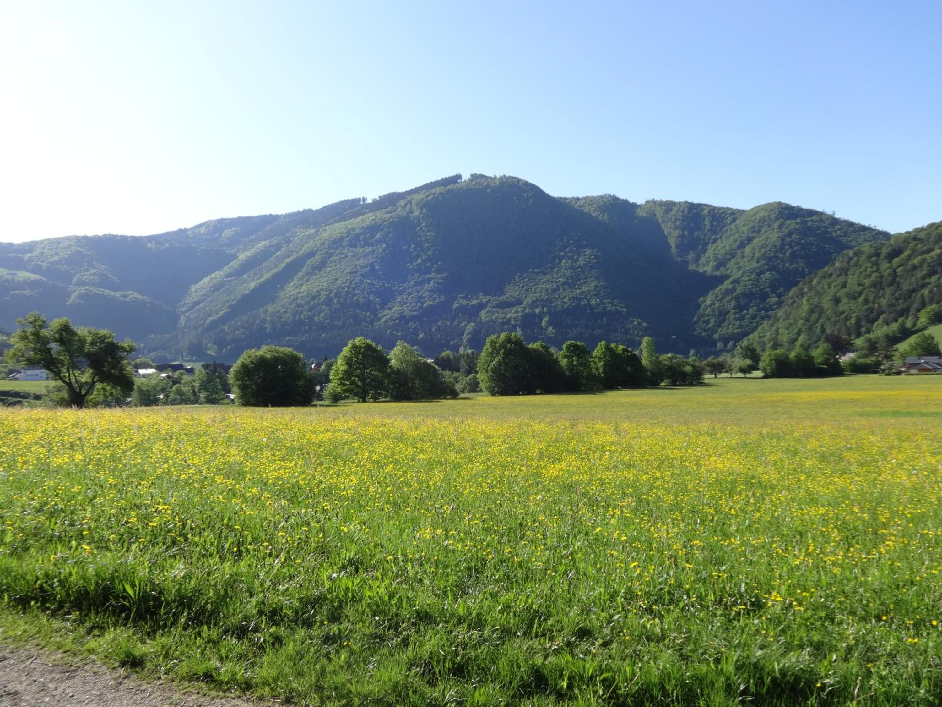 Frühstückspension Irmer