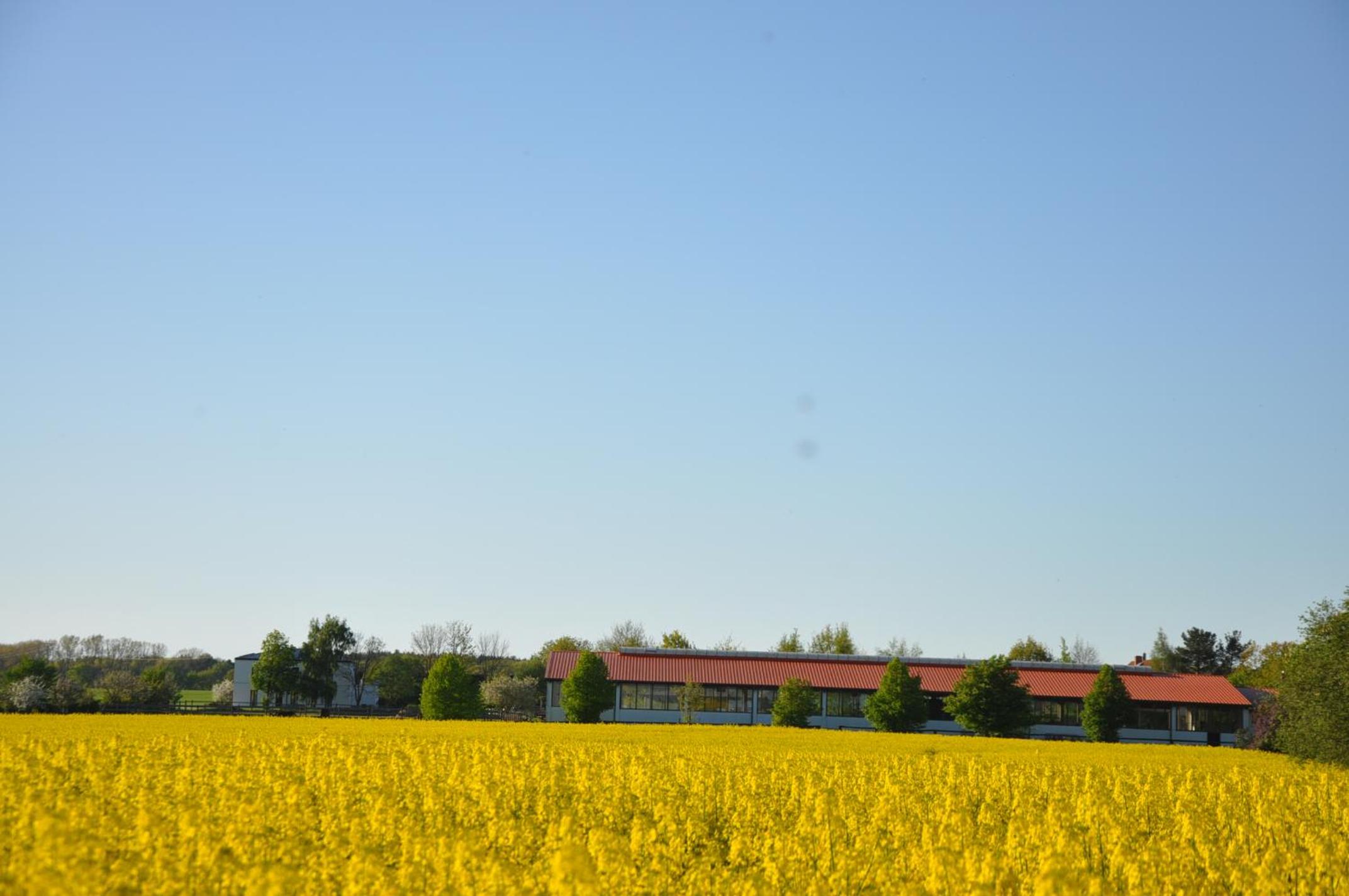 FEWO Reitanlage bei Altefähr