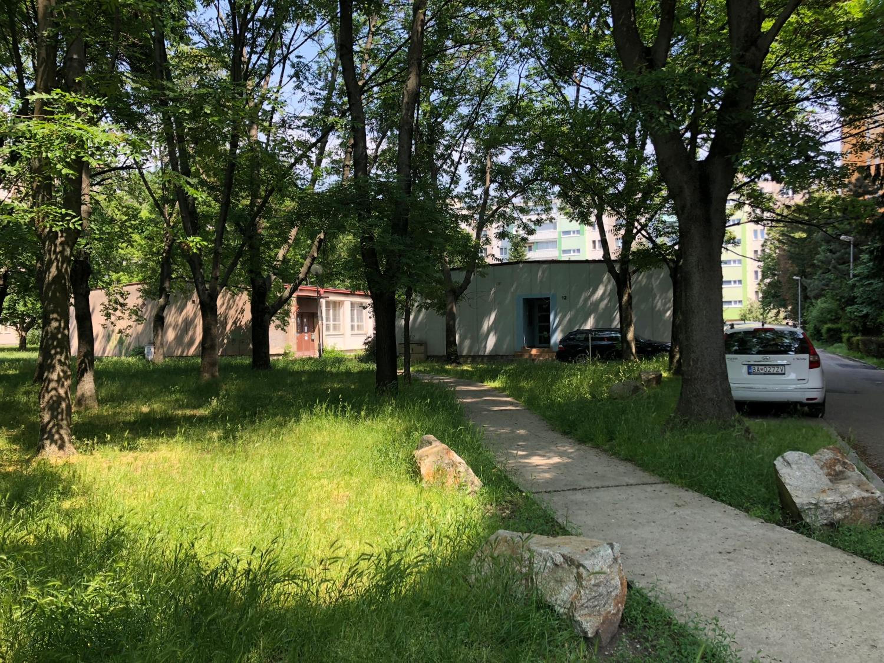 Photo 21