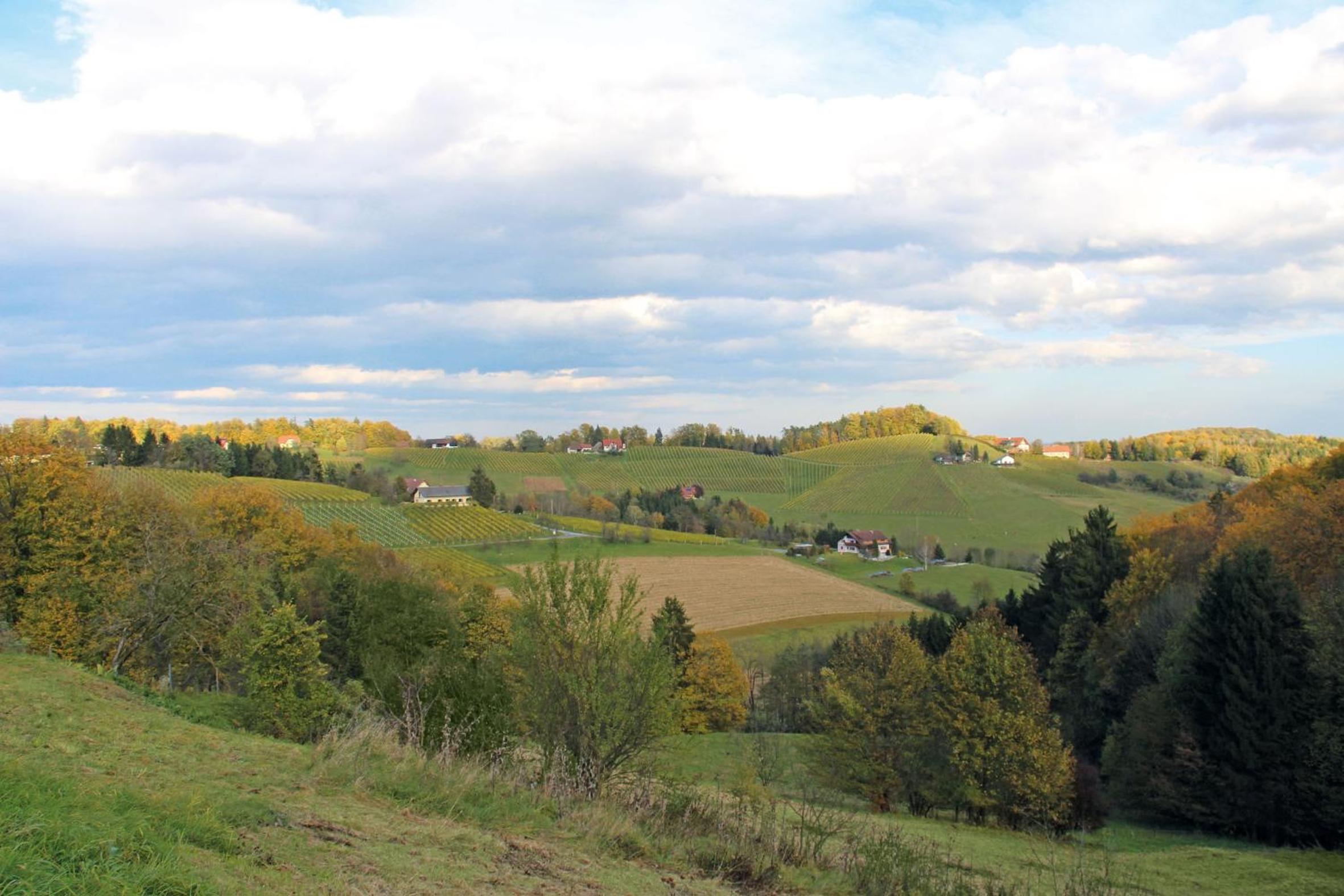 Weingut-Gästezimmer Pongratz
